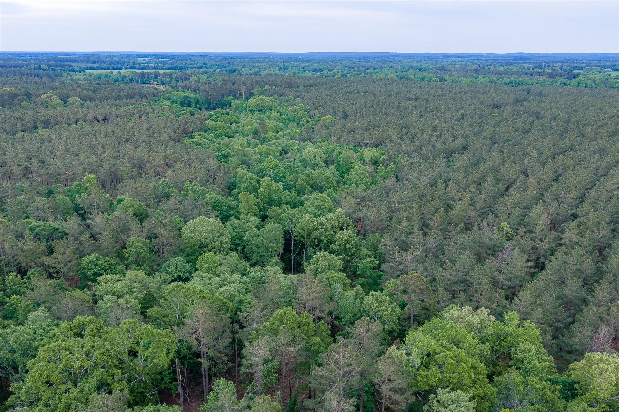 Ranch For Sale in Panola County , 2365 CR 152, Carthage, Texas 75633, 0, 0, Garage spaces, 0 Sqft, built in 2016, mls#21263841, Real Estate Agent in Carthage, Homes For Sale in Panola county, Homes For Sale in Carthage, Realtor in Carthage Texas, Real Estate Brokerage Independent Realty Texas, Luminita Cordes Realtor