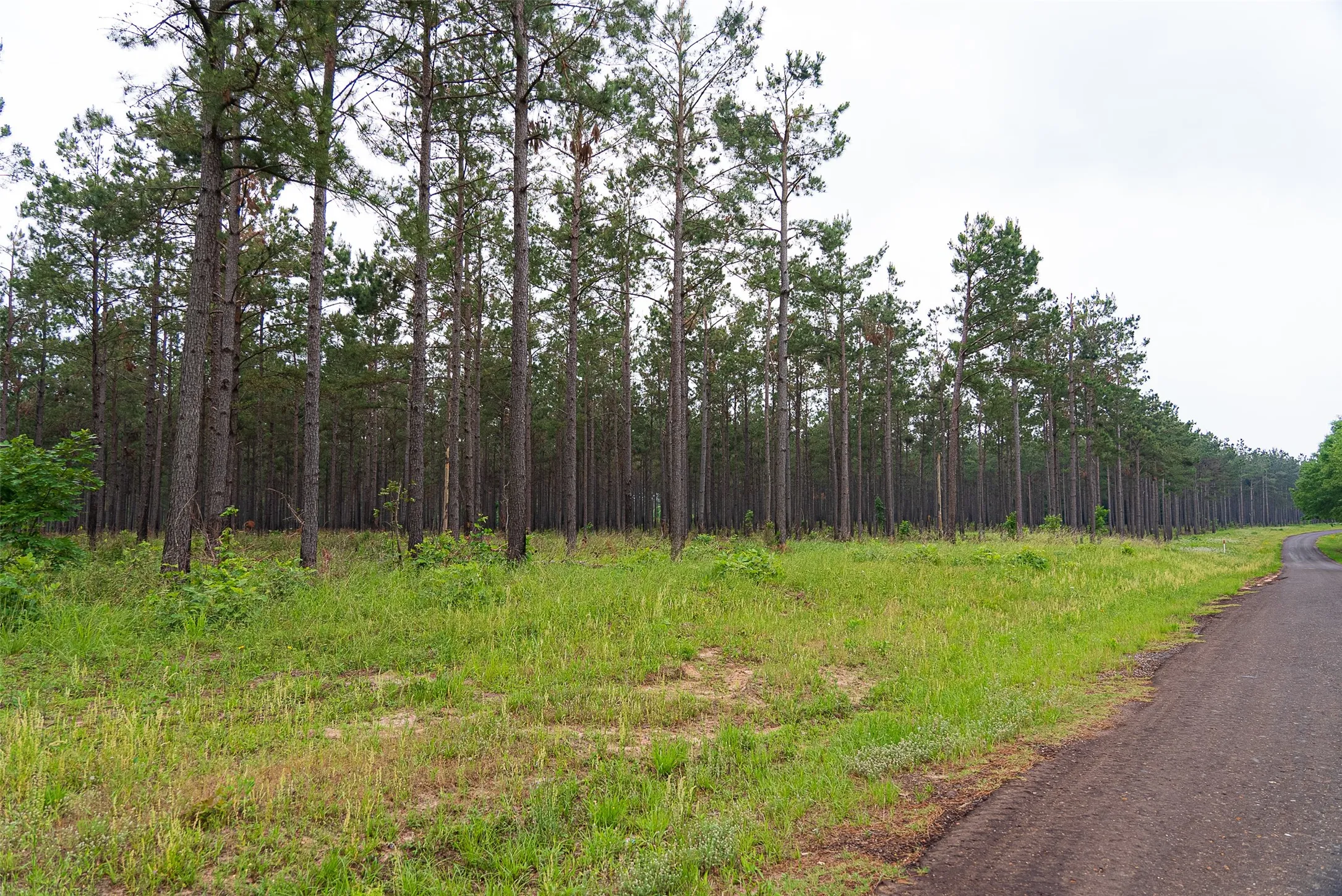 Ranch For Sale in Panola County , 2365 CR 152, Carthage, Texas 75633, 0, 0, Garage spaces, 0 Sqft, built in 2016, mls#21263841, Real Estate Agent in Carthage, Homes For Sale in Panola county, Homes For Sale in Carthage, Realtor in Carthage Texas, Real Estate Brokerage Independent Realty Texas, Luminita Cordes Realtor