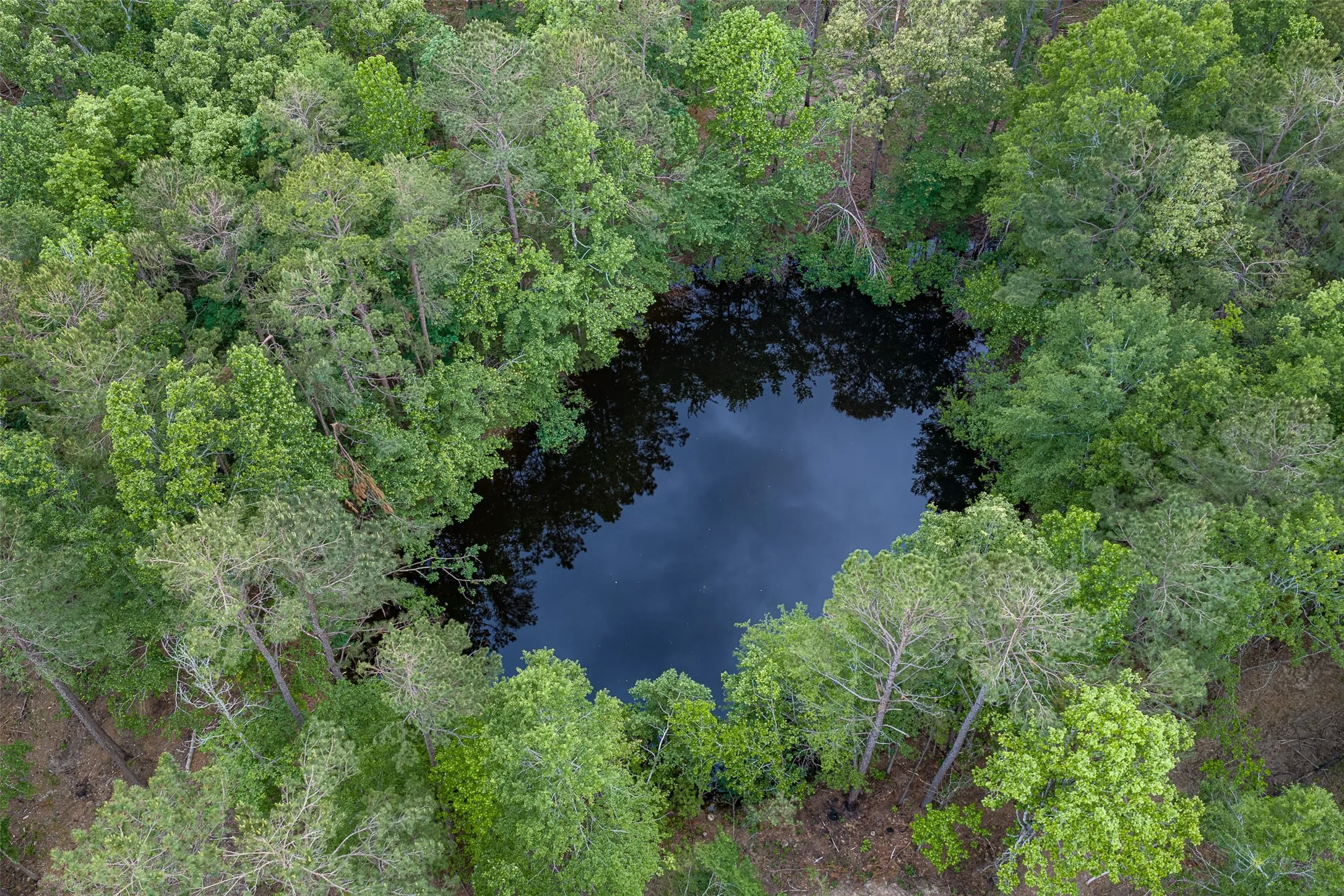 Ranch For Sale in Panola County , 2365 CR 152, Carthage, Texas 75633, 0, 0, Garage spaces, 0 Sqft, built in 2016, mls#21263841, Real Estate Agent in Carthage, Homes For Sale in Panola county, Homes For Sale in Carthage, Realtor in Carthage Texas, Real Estate Brokerage Independent Realty Texas, Luminita Cordes Realtor