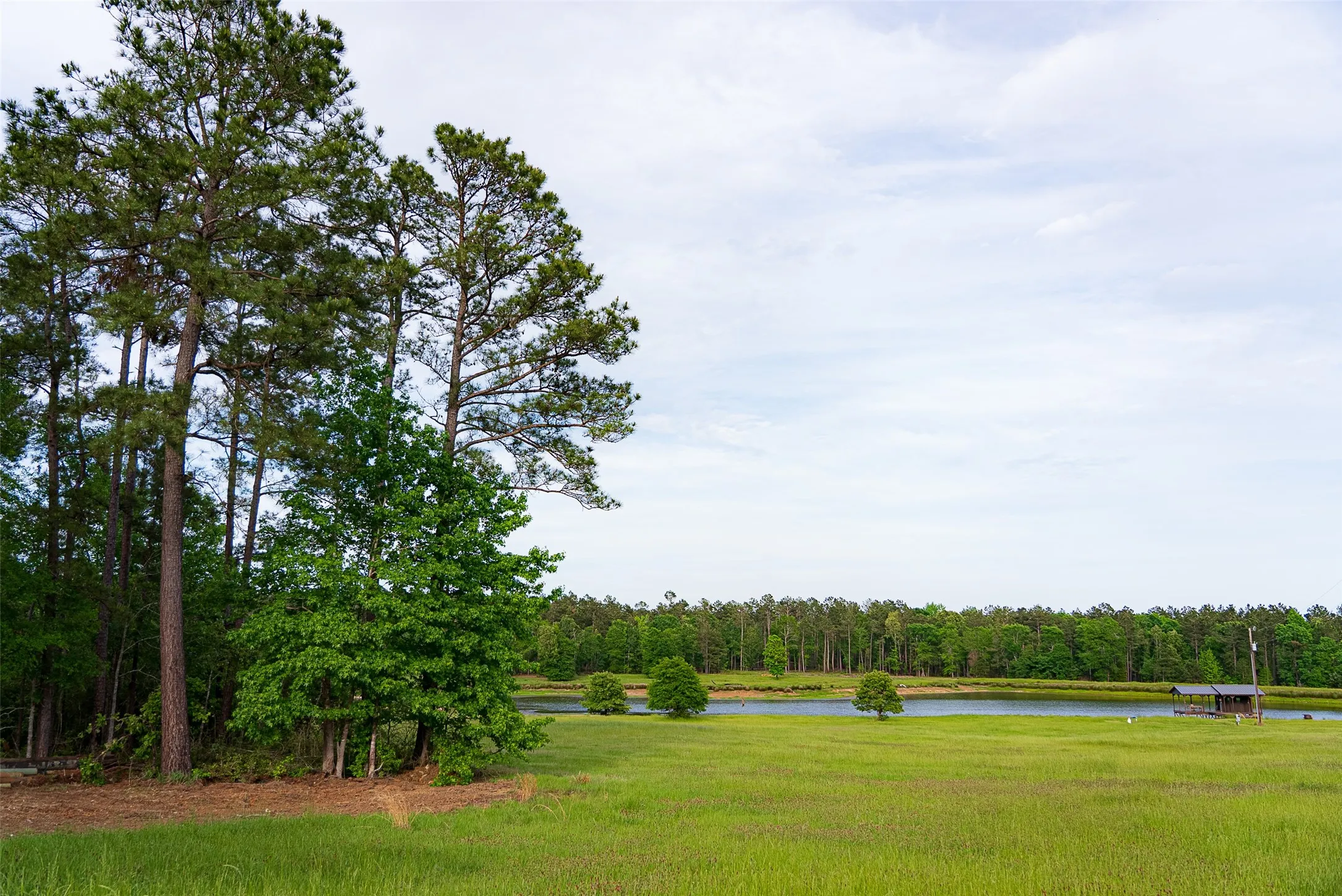 Ranch For Sale in Panola County , 2365 CR 152, Carthage, Texas 75633, 0, 0, Garage spaces, 0 Sqft, built in 2016, mls#21263841, Real Estate Agent in Carthage, Homes For Sale in Panola county, Homes For Sale in Carthage, Realtor in Carthage Texas, Real Estate Brokerage Independent Realty Texas, Luminita Cordes Realtor