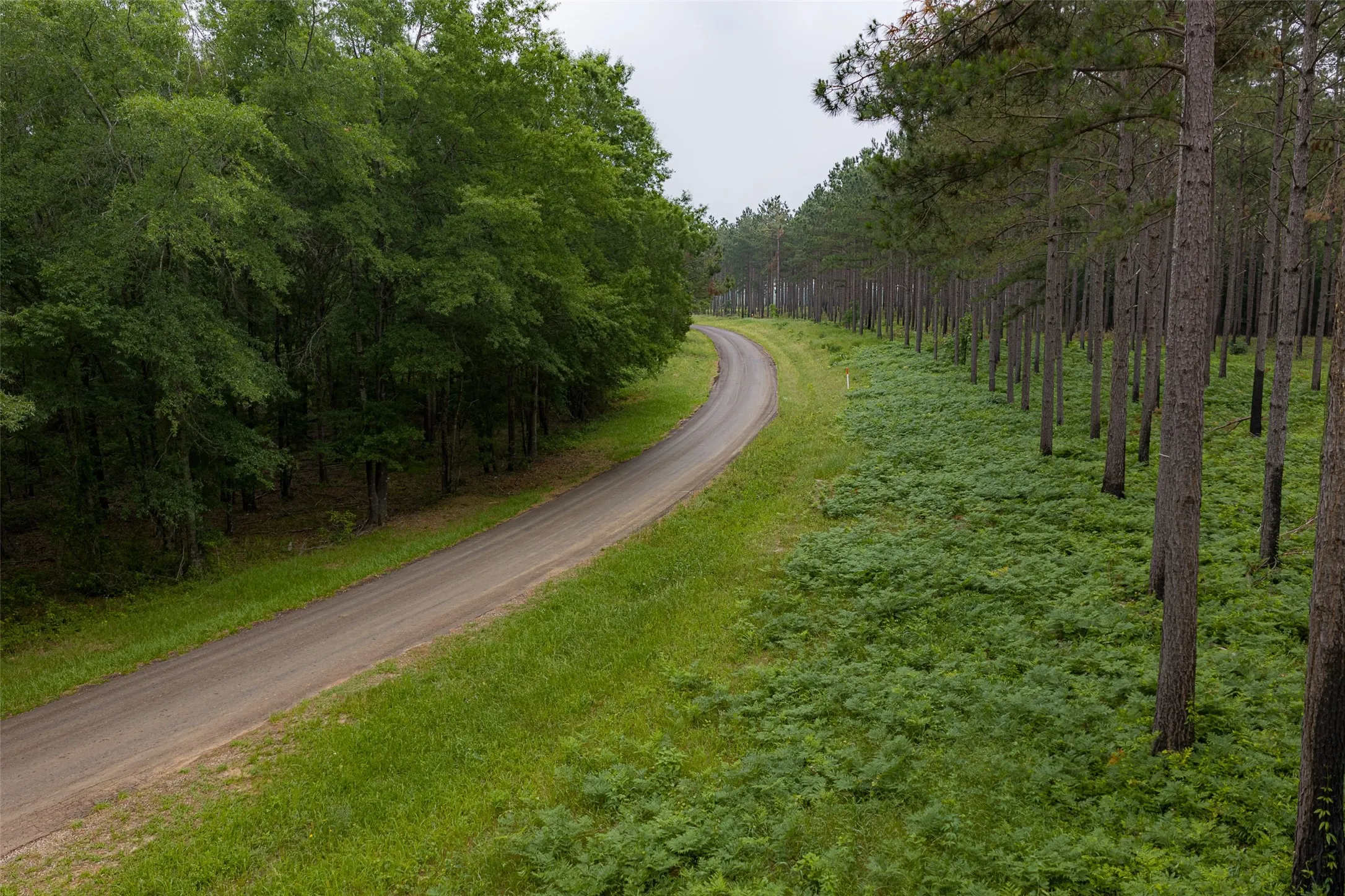Ranch For Sale in Panola County , 2365 CR 152, Carthage, Texas 75633, 0, 0, Garage spaces, 0 Sqft, built in 2016, mls#21263841, Real Estate Agent in Carthage, Homes For Sale in Panola county, Homes For Sale in Carthage, Realtor in Carthage Texas, Real Estate Brokerage Independent Realty Texas, Luminita Cordes Realtor