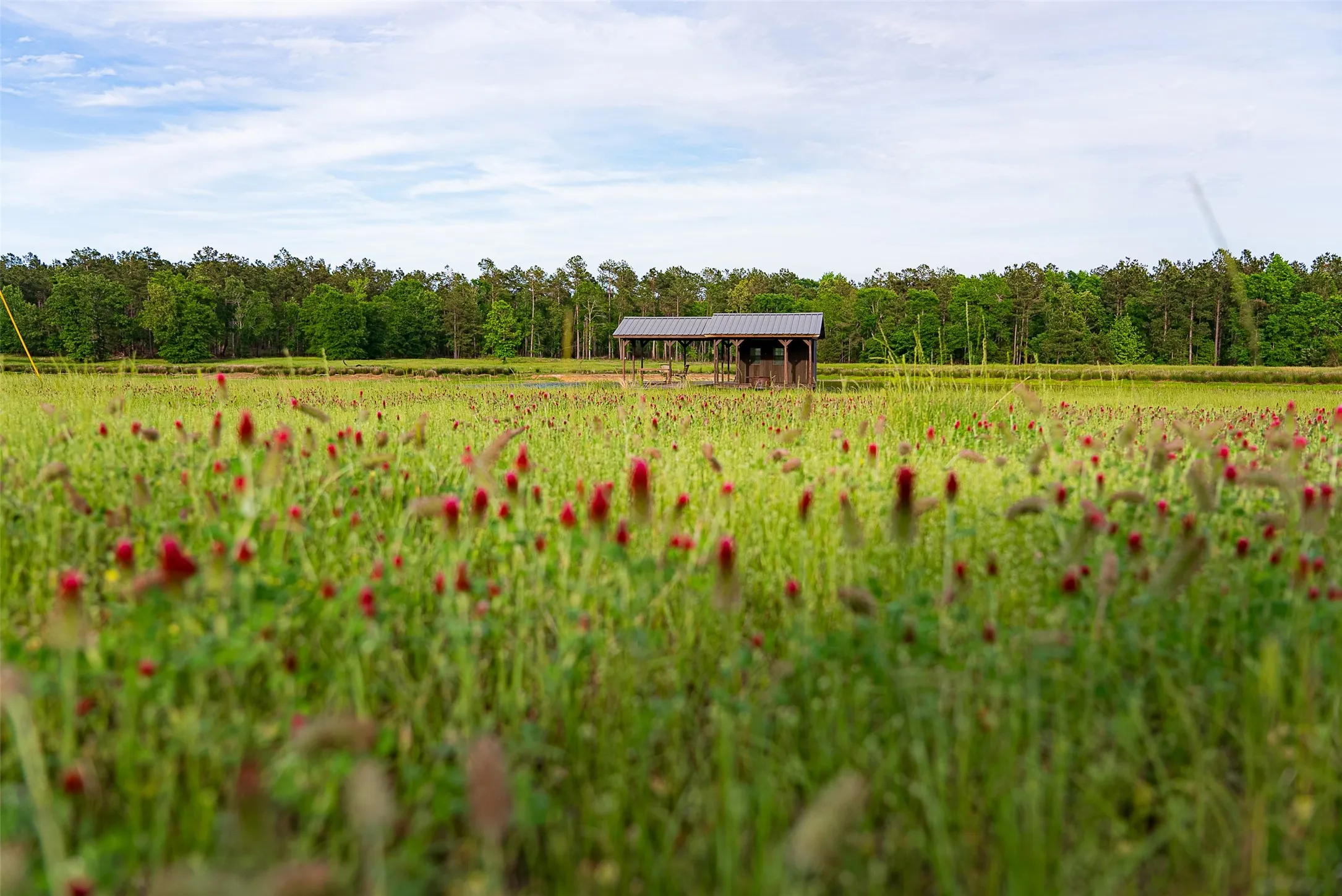 Ranch For Sale in Panola County , 2365 CR 152, Carthage, Texas 75633, 0, 0, Garage spaces, 0 Sqft, built in 2016, mls#21263841, Real Estate Agent in Carthage, Homes For Sale in Panola county, Homes For Sale in Carthage, Realtor in Carthage Texas, Real Estate Brokerage Independent Realty Texas, Luminita Cordes Realtor