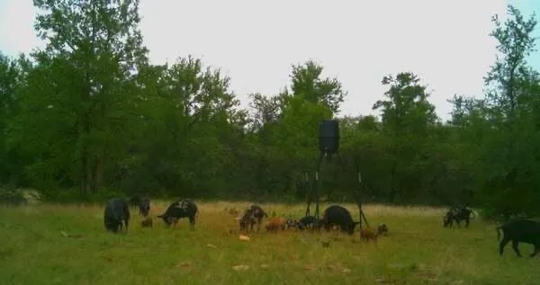 Unimproved Land For Sale in Stephens County , 136 Moose Trail, Ranger, Texas 76470, 0, 0, Garage spaces, 0 Sqft, built in 0, mls#21263848, Real Estate Agent in Ranger, Homes For Sale in Stephens county, Homes For Sale in Ranger, Realtor in Ranger Texas, Real Estate Brokerage Independent Realty Texas, Luminita Cordes Realtor