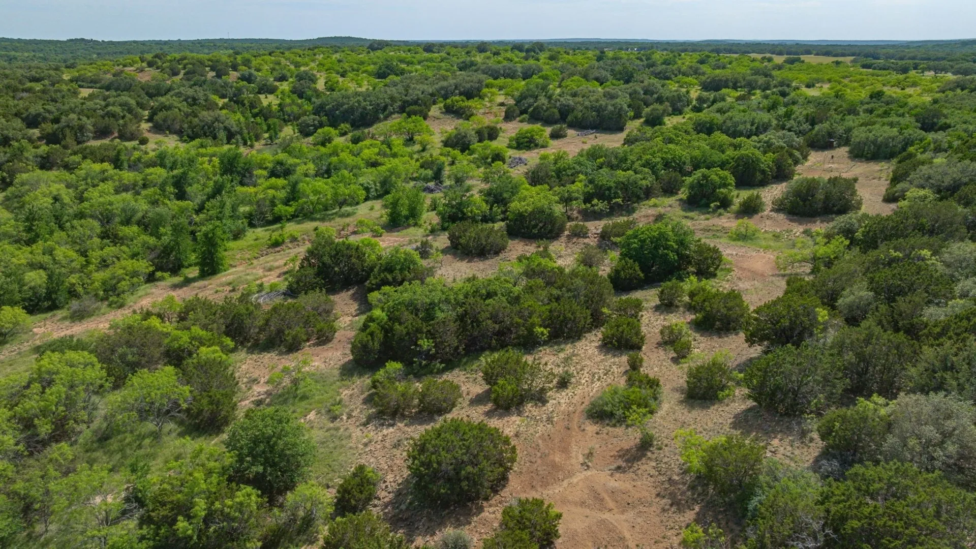Unimproved Land For Sale in Stephens County , 136 Moose Trail, Ranger, Texas 76470, 0, 0, Garage spaces, 0 Sqft, built in 0, mls#21263848, Real Estate Agent in Ranger, Homes For Sale in Stephens county, Homes For Sale in Ranger, Realtor in Ranger Texas, Real Estate Brokerage Independent Realty Texas, Luminita Cordes Realtor