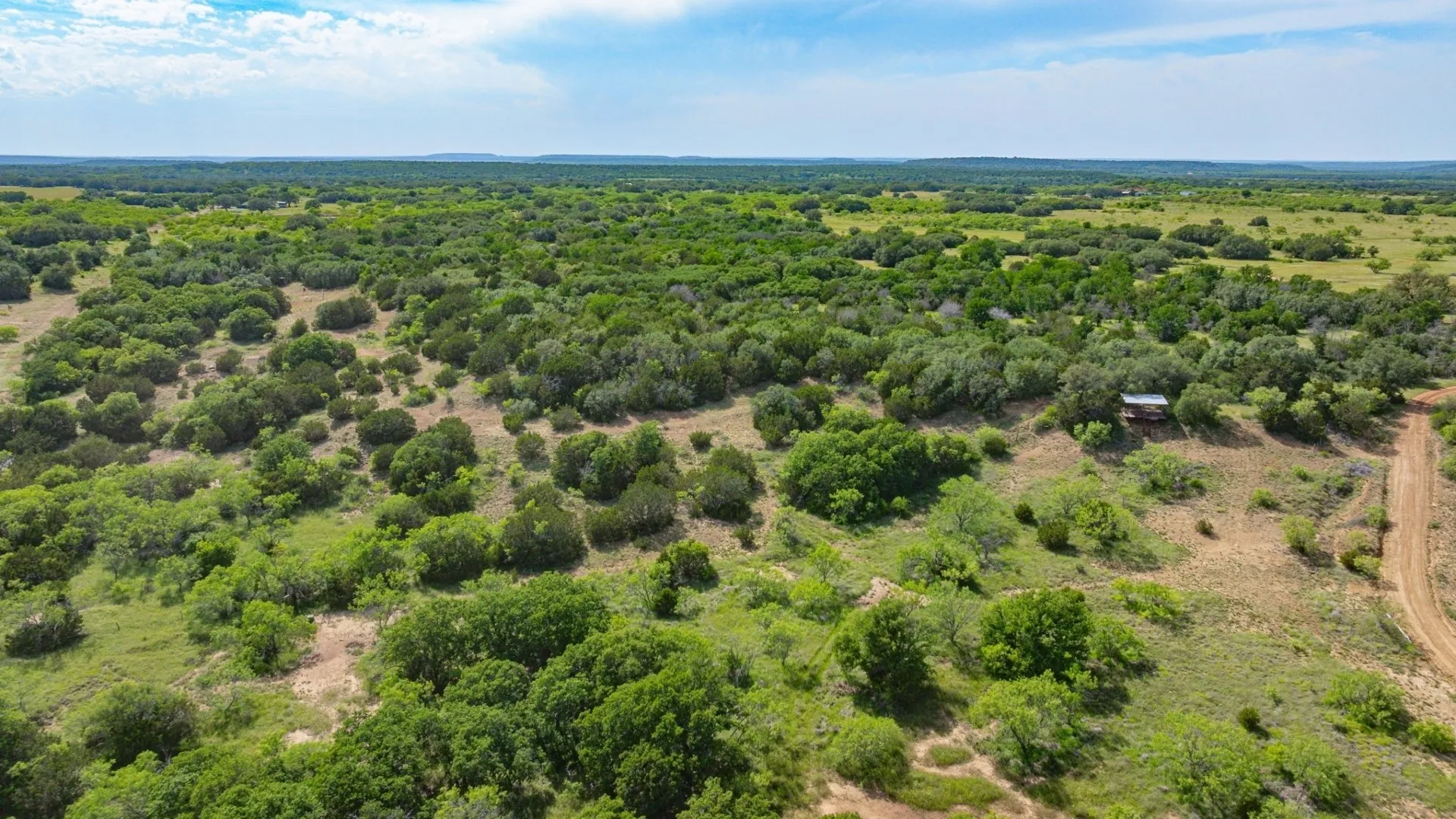 Unimproved Land For Sale in Stephens County , 136 Moose Trail, Ranger, Texas 76470, 0, 0, Garage spaces, 0 Sqft, built in 0, mls#21263848, Real Estate Agent in Ranger, Homes For Sale in Stephens county, Homes For Sale in Ranger, Realtor in Ranger Texas, Real Estate Brokerage Independent Realty Texas, Luminita Cordes Realtor