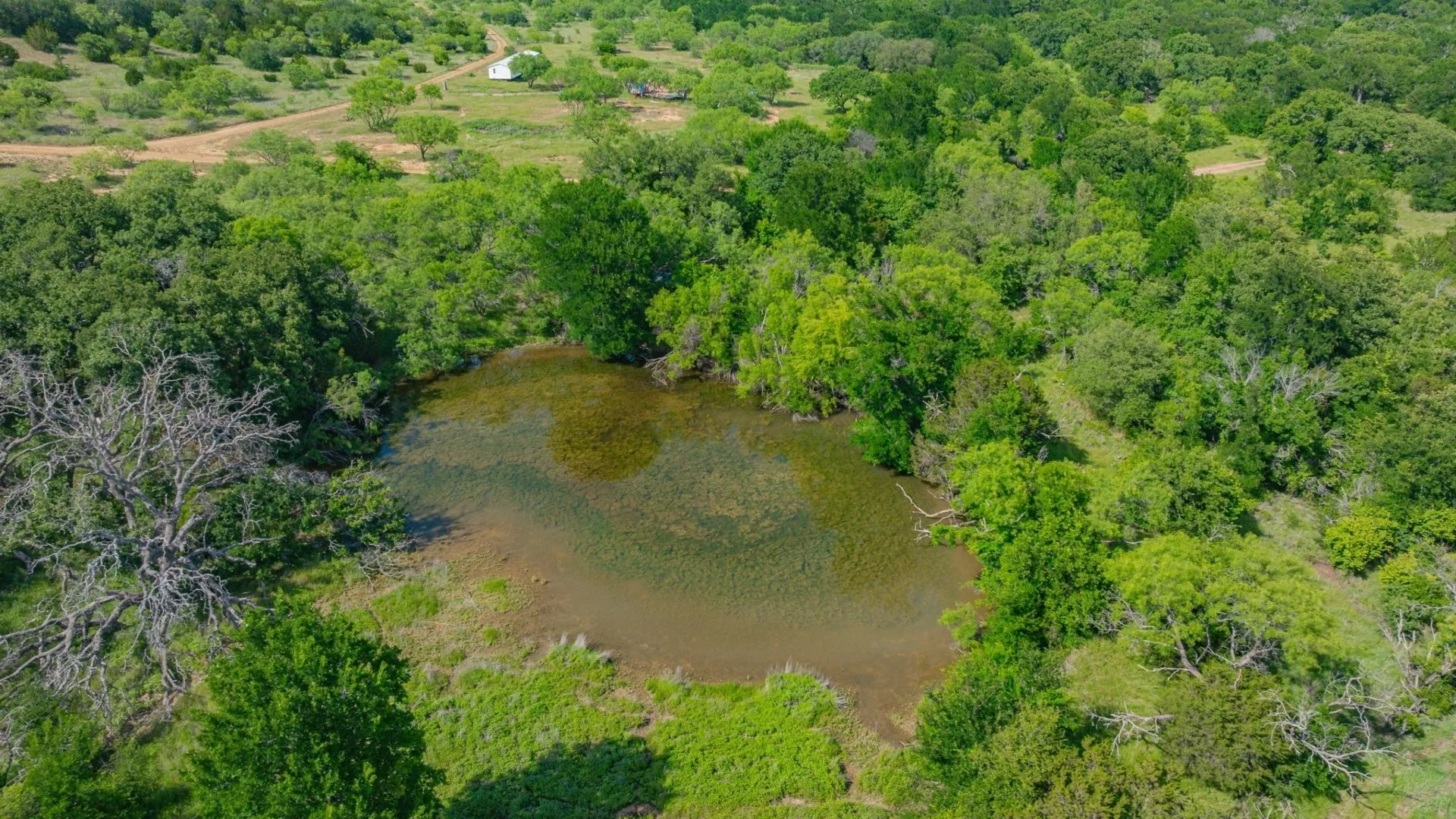 Unimproved Land For Sale in Stephens County , 136 Moose Trail, Ranger, Texas 76470, 0, 0, Garage spaces, 0 Sqft, built in 0, mls#21263848, Real Estate Agent in Ranger, Homes For Sale in Stephens county, Homes For Sale in Ranger, Realtor in Ranger Texas, Real Estate Brokerage Independent Realty Texas, Luminita Cordes Realtor