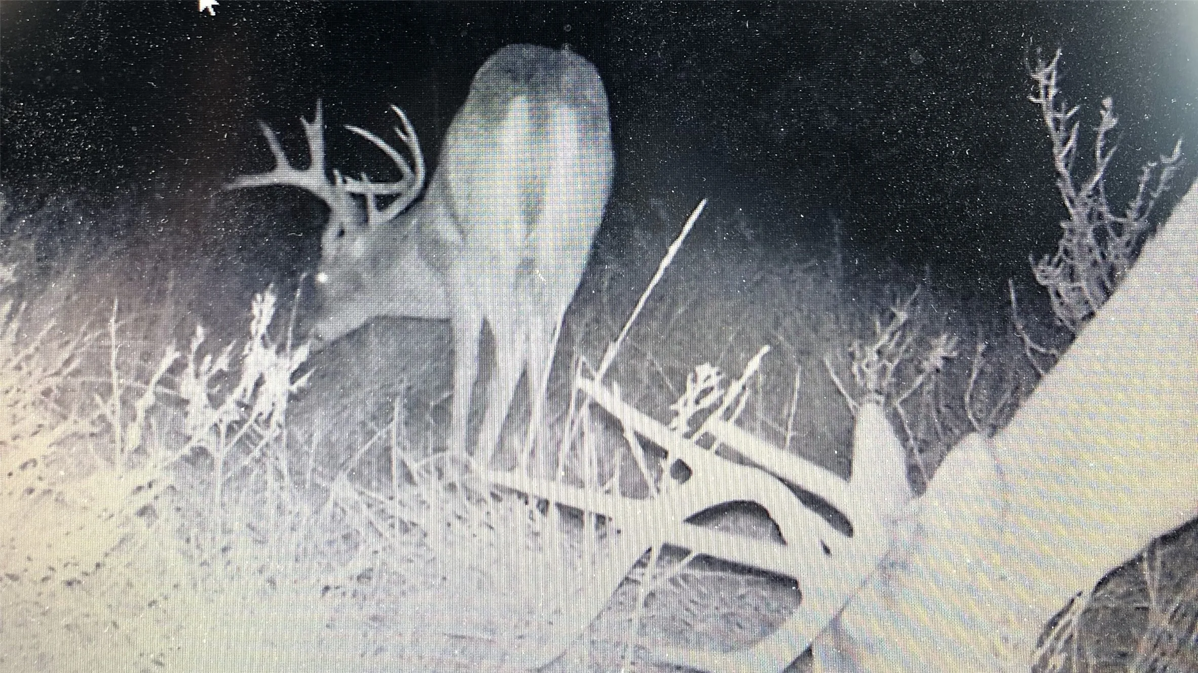Unimproved Land For Sale in Stephens County , 136 Moose Trail, Ranger, Texas 76470, 0, 0, Garage spaces, 0 Sqft, built in 0, mls#21263848, Real Estate Agent in Ranger, Homes For Sale in Stephens county, Homes For Sale in Ranger, Realtor in Ranger Texas, Real Estate Brokerage Independent Realty Texas, Luminita Cordes Realtor