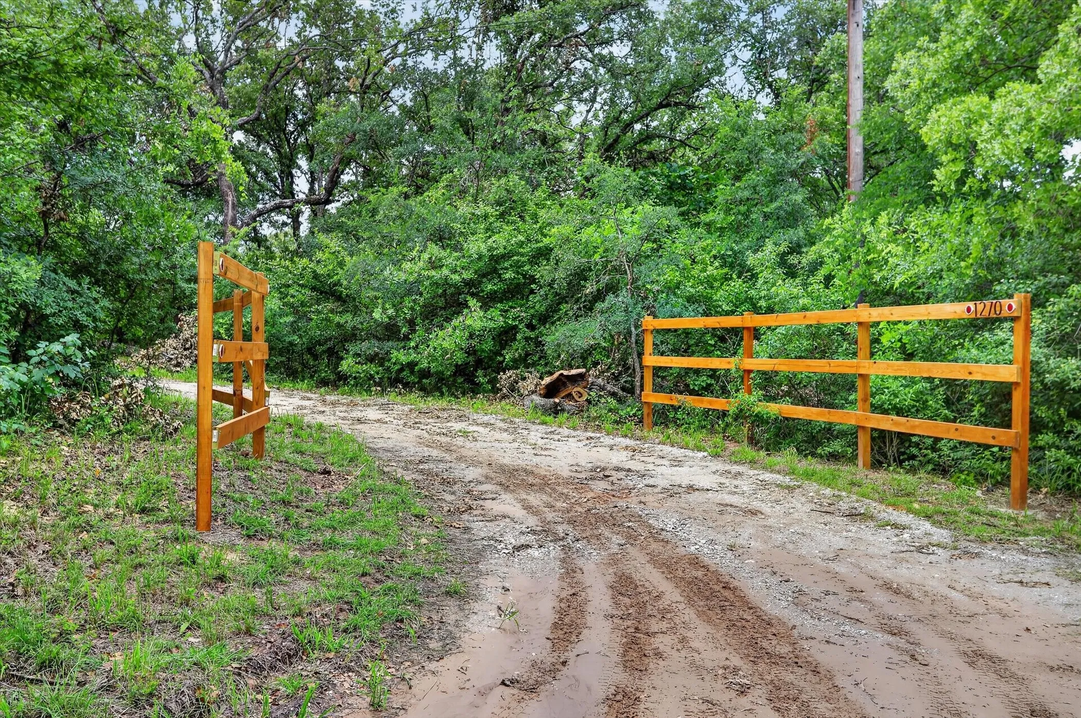 Gated entry with a wooden split-rail fence and a dirt driveway surrounded by dense foliage