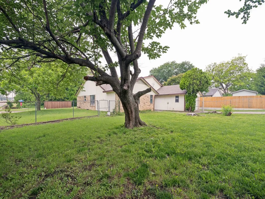 Expansive grassy yard featuring a prominent mature tree, chain link fencing, wood privacy fencing, and a single-story residence with light-colored siding and a brick facade