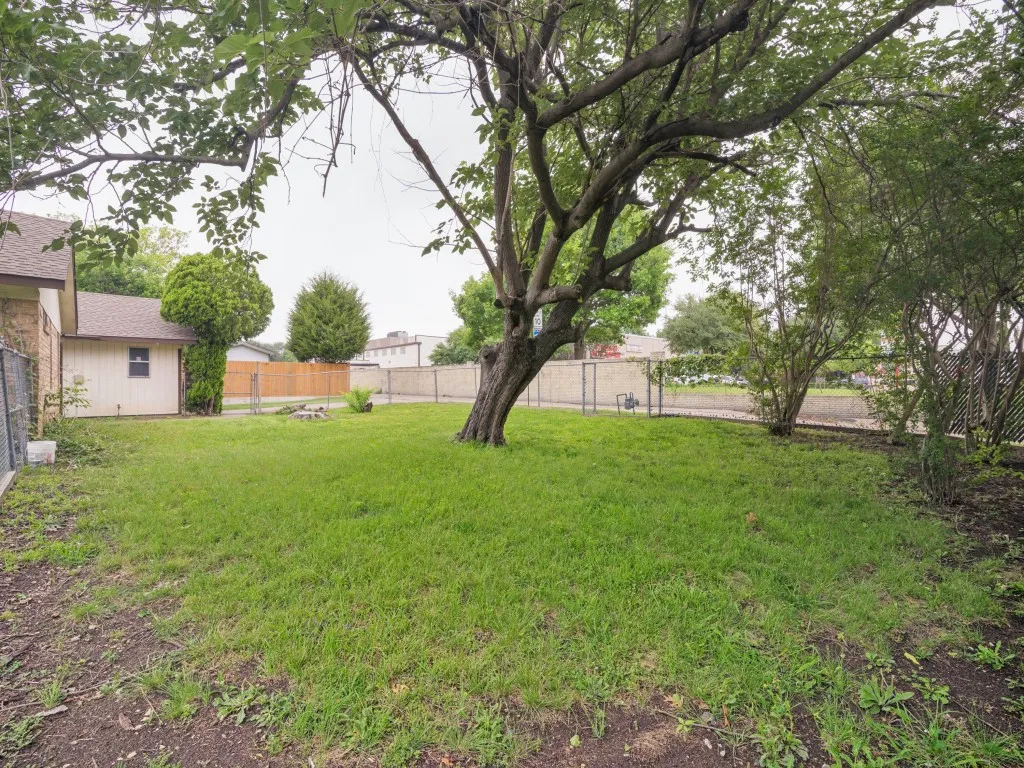 Expansive green space featuring a large mature tree