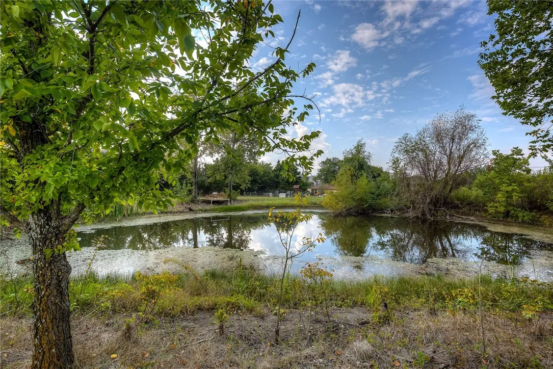 Pond in the back.