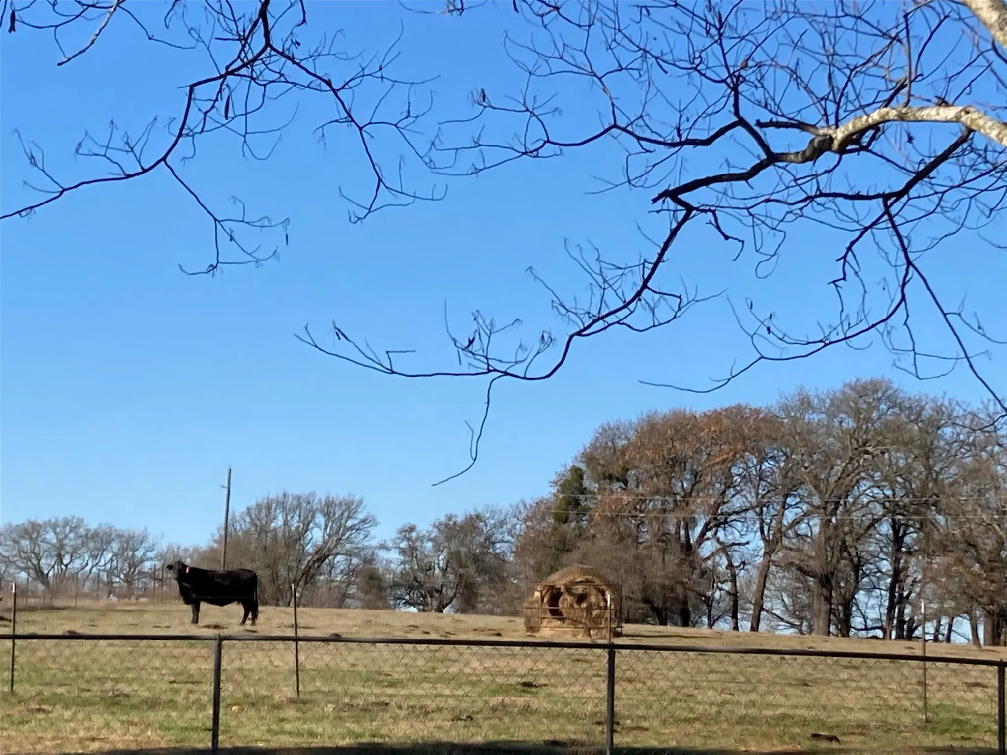 Unimproved Land For Sale in Hill County , PR 114 PR 114, Covington, Texas 76636, 0, 0, Garage spaces, 0 Sqft, built in 0, mls#21264082, Real Estate Agent in Covington, Homes For Sale in Hill county, Homes For Sale in Covington, Realtor in Covington Texas, Real Estate Brokerage Independent Realty Texas, Luminita Cordes Realtor