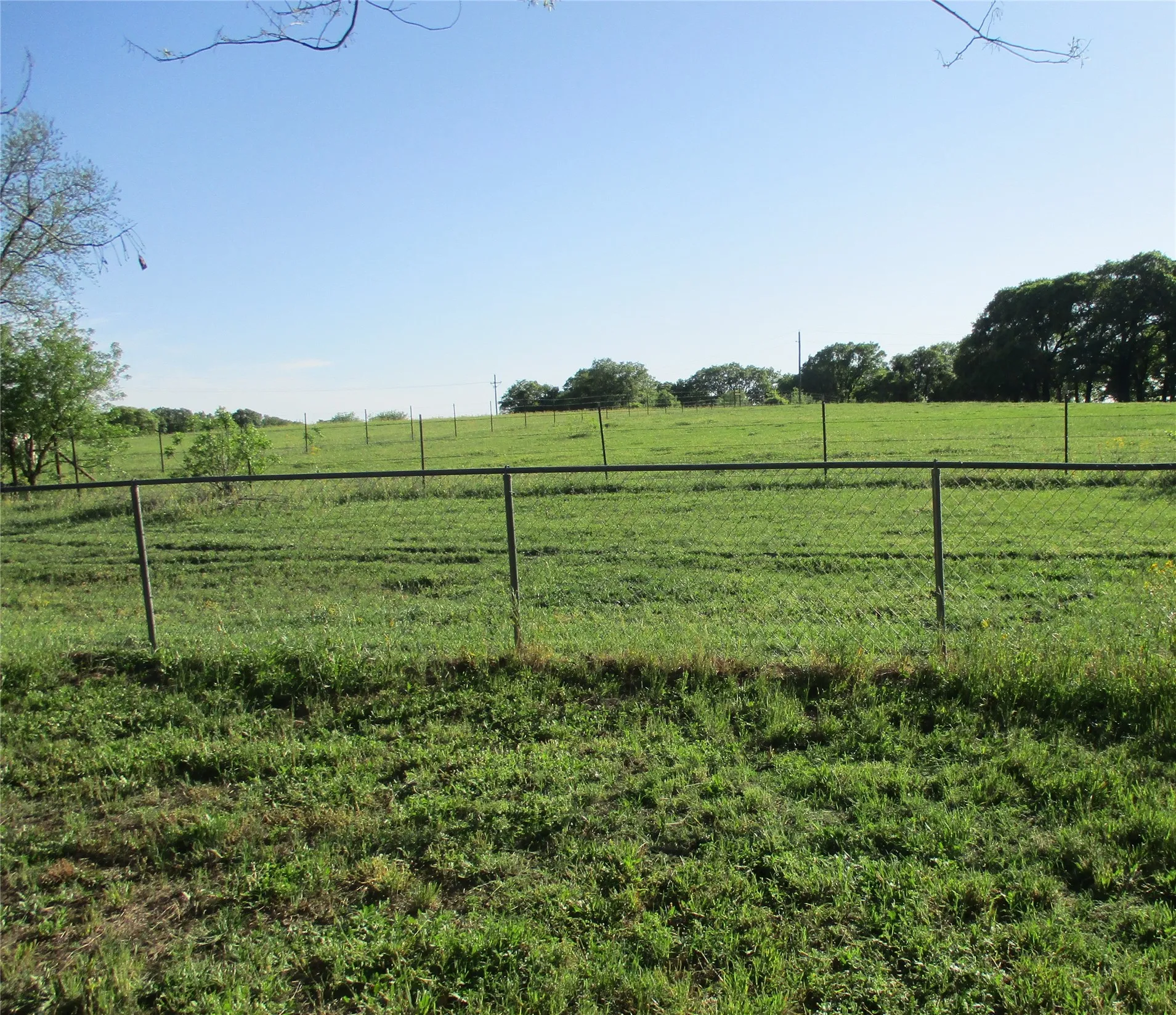 Unimproved Land For Sale in Hill County , PR 114 PR 114, Covington, Texas 76636, 0, 0, Garage spaces, 0 Sqft, built in 0, mls#21264082, Real Estate Agent in Covington, Homes For Sale in Hill county, Homes For Sale in Covington, Realtor in Covington Texas, Real Estate Brokerage Independent Realty Texas, Luminita Cordes Realtor