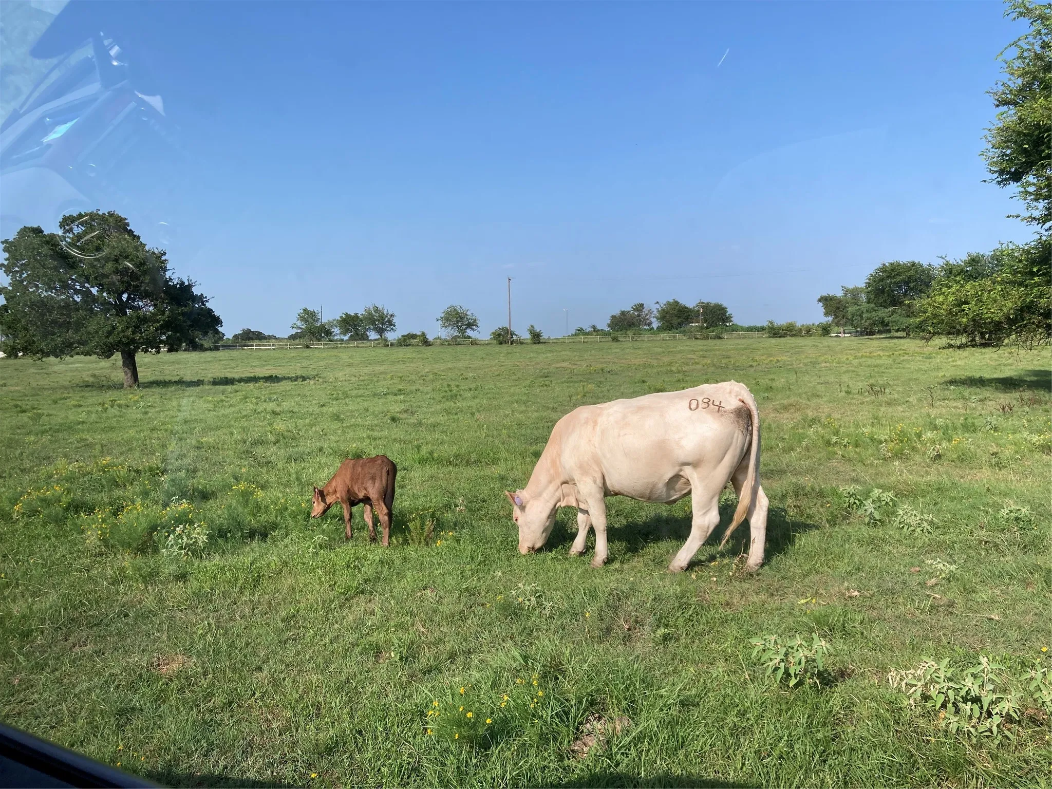 Unimproved Land For Sale in Hill County , PR 114 PR 114, Covington, Texas 76636, 0, 0, Garage spaces, 0 Sqft, built in 0, mls#21264082, Real Estate Agent in Covington, Homes For Sale in Hill county, Homes For Sale in Covington, Realtor in Covington Texas, Real Estate Brokerage Independent Realty Texas, Luminita Cordes Realtor