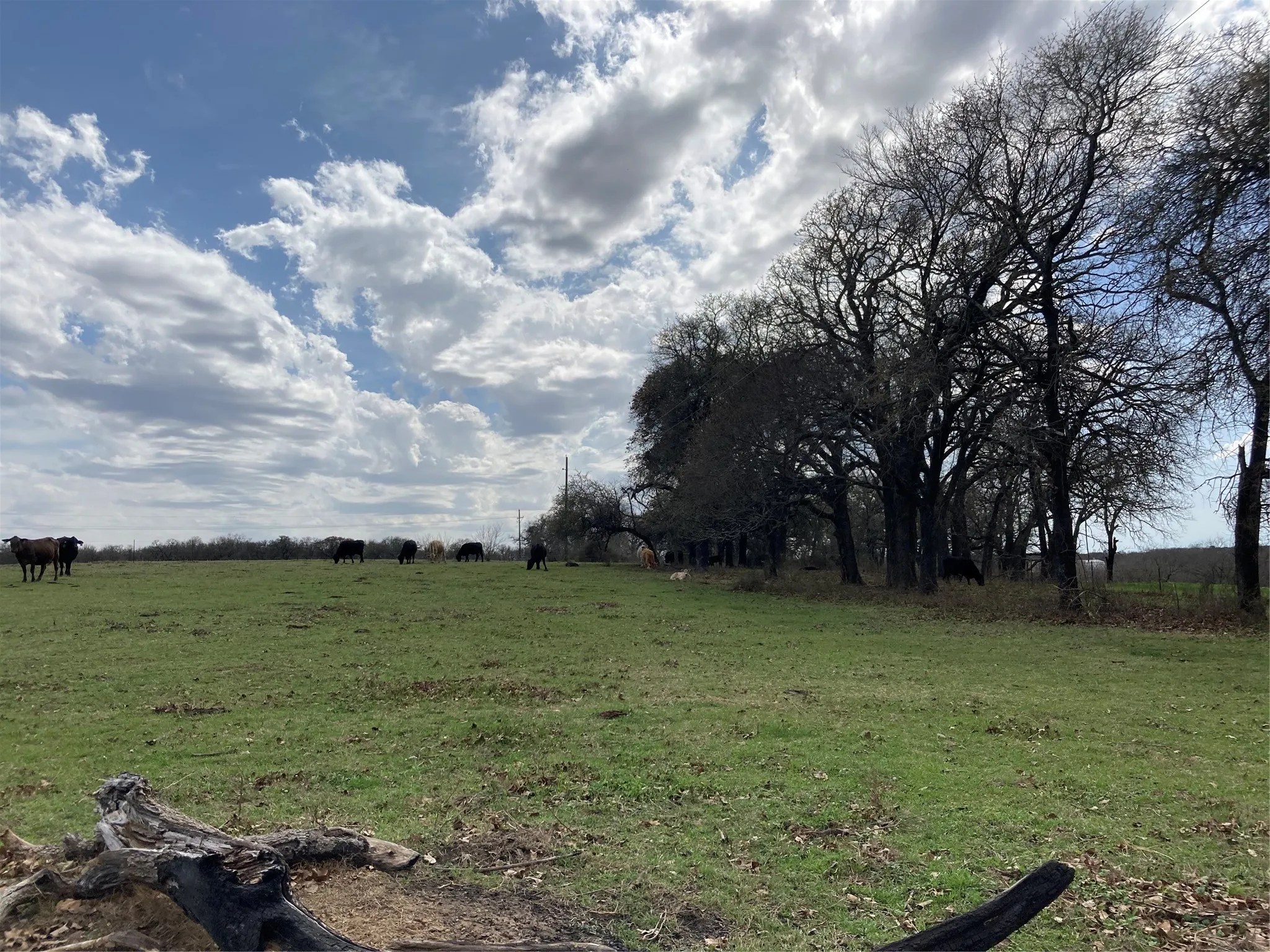 Unimproved Land For Sale in Hill County , PR 114 PR 114, Covington, Texas 76636, 0, 0, Garage spaces, 0 Sqft, built in 0, mls#21264082, Real Estate Agent in Covington, Homes For Sale in Hill county, Homes For Sale in Covington, Realtor in Covington Texas, Real Estate Brokerage Independent Realty Texas, Luminita Cordes Realtor