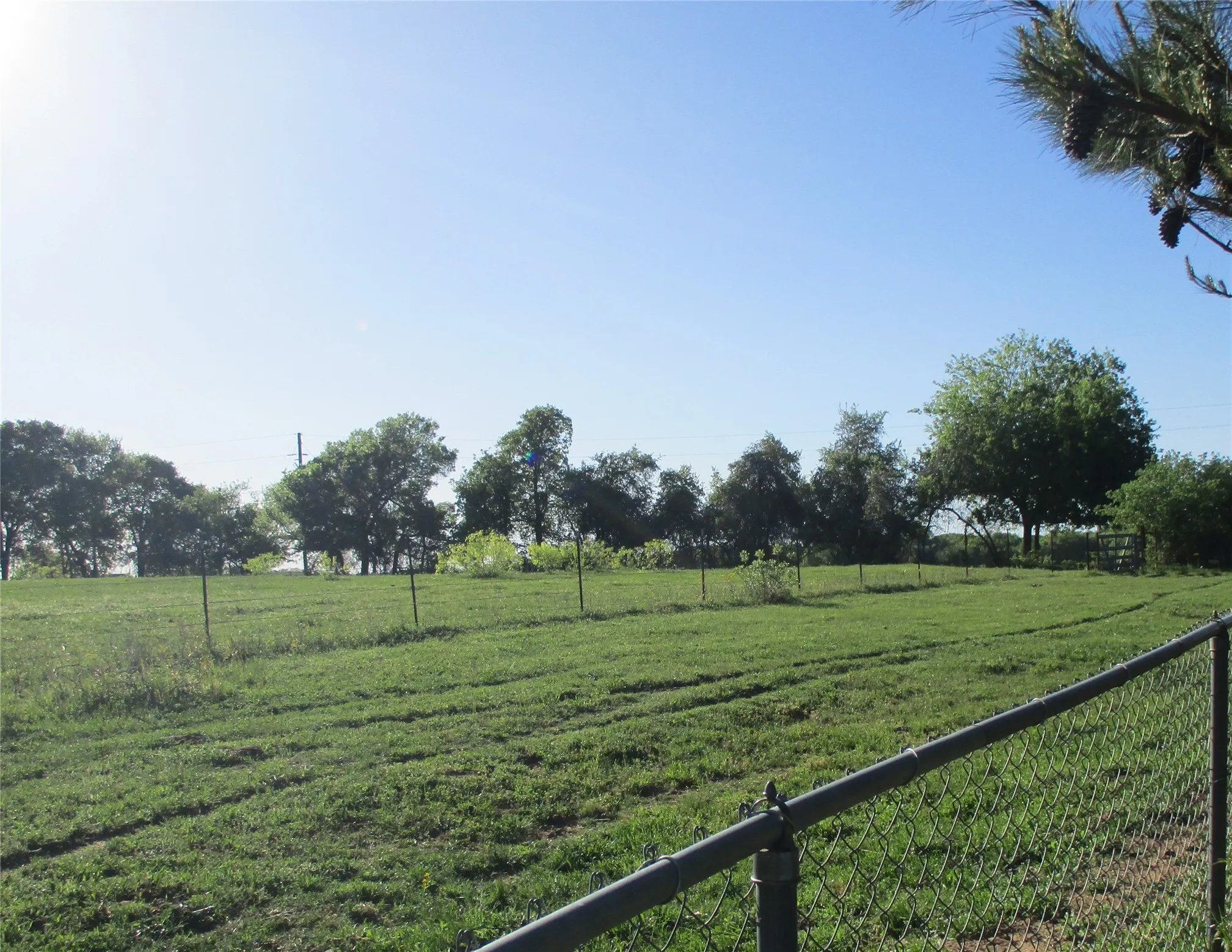 Unimproved Land For Sale in Hill County , PR 114 PR 114, Covington, Texas 76636, 0, 0, Garage spaces, 0 Sqft, built in 0, mls#21264082, Real Estate Agent in Covington, Homes For Sale in Hill county, Homes For Sale in Covington, Realtor in Covington Texas, Real Estate Brokerage Independent Realty Texas, Luminita Cordes Realtor