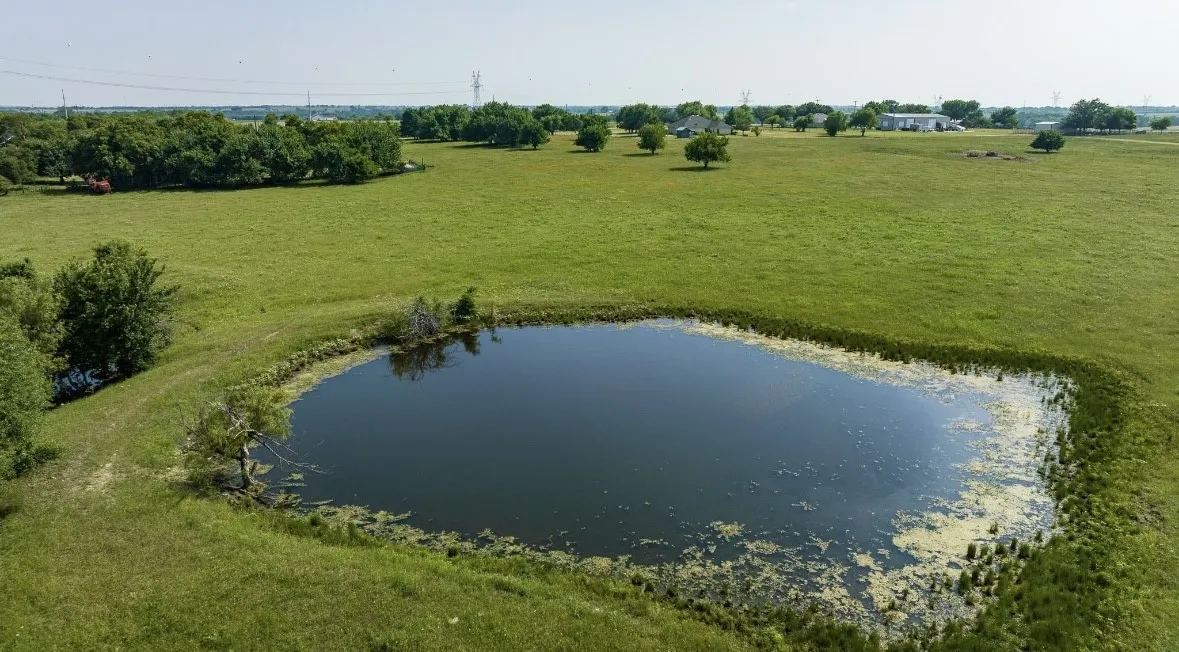 Expansive open pastureland featuring a private pond with natural vegetation
