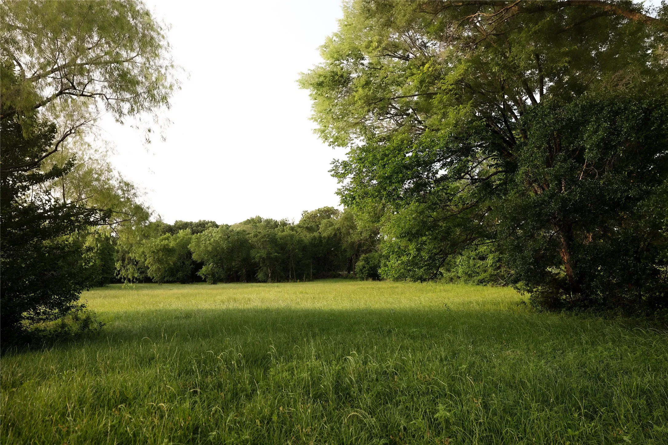 Back pasture behind the barn