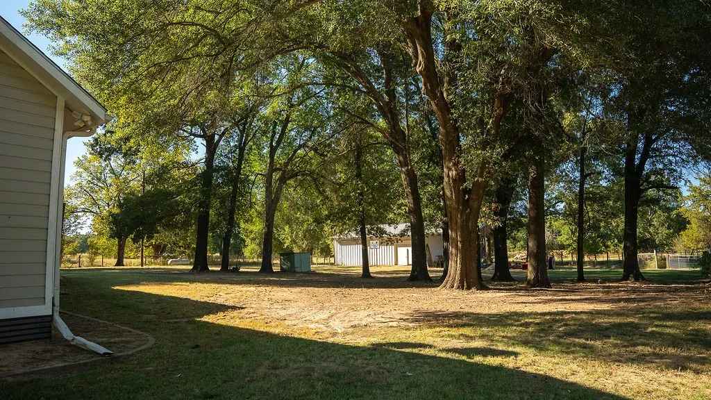 More hardwood trees create a retreat setting