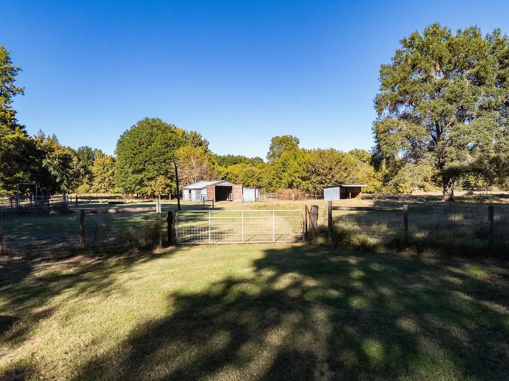 Behind the house looking out to the barn