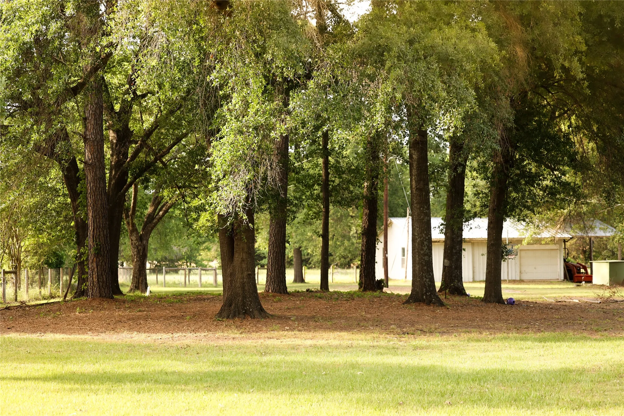 Grove of trees between the shop and home