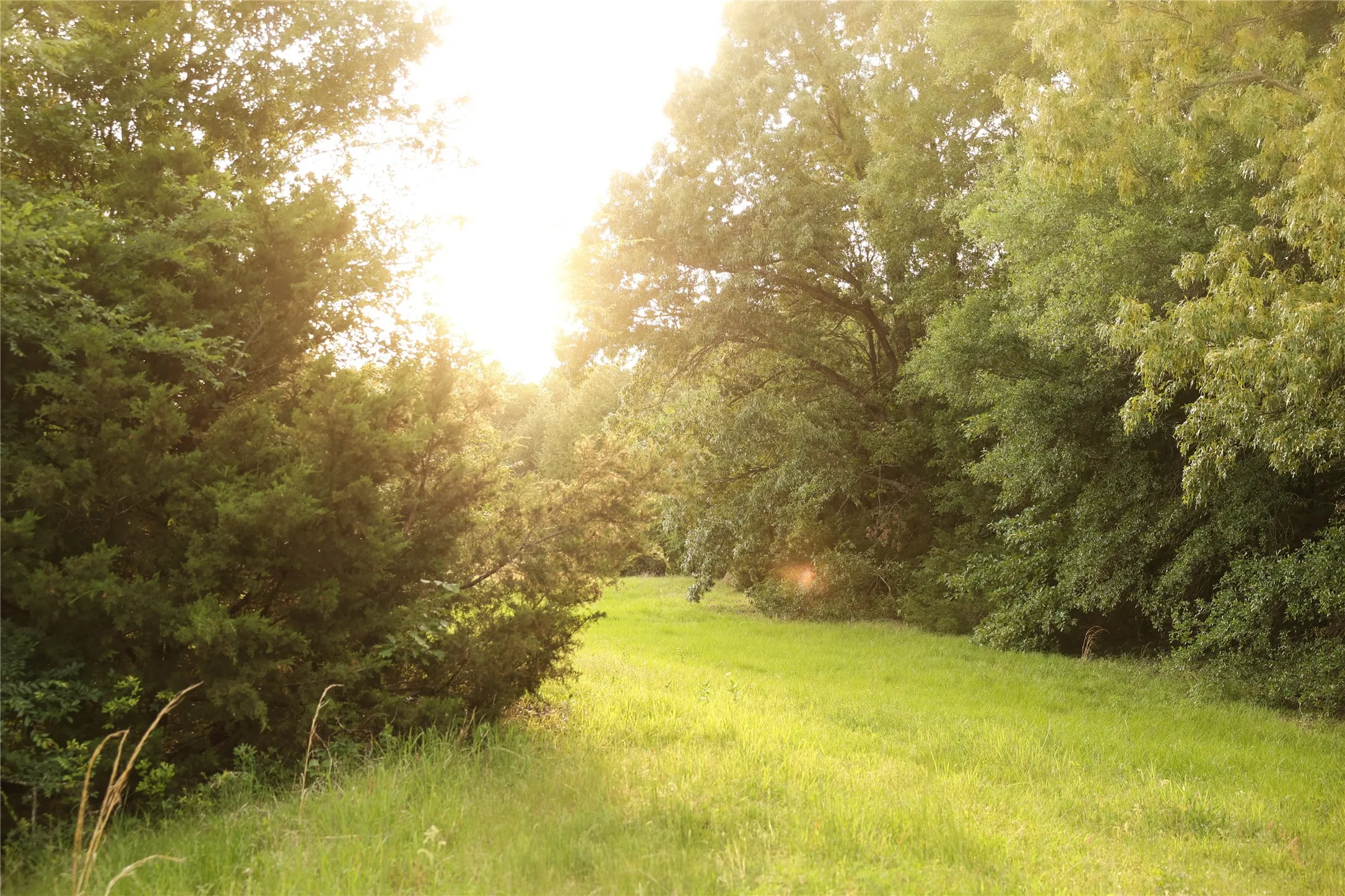 Fabulous area to trail ride