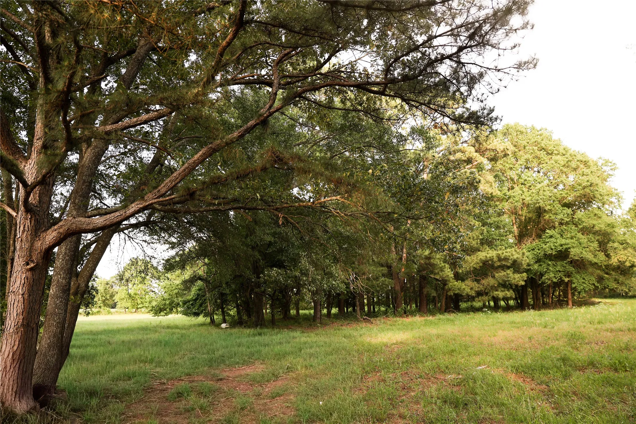 Original area for an arena location
