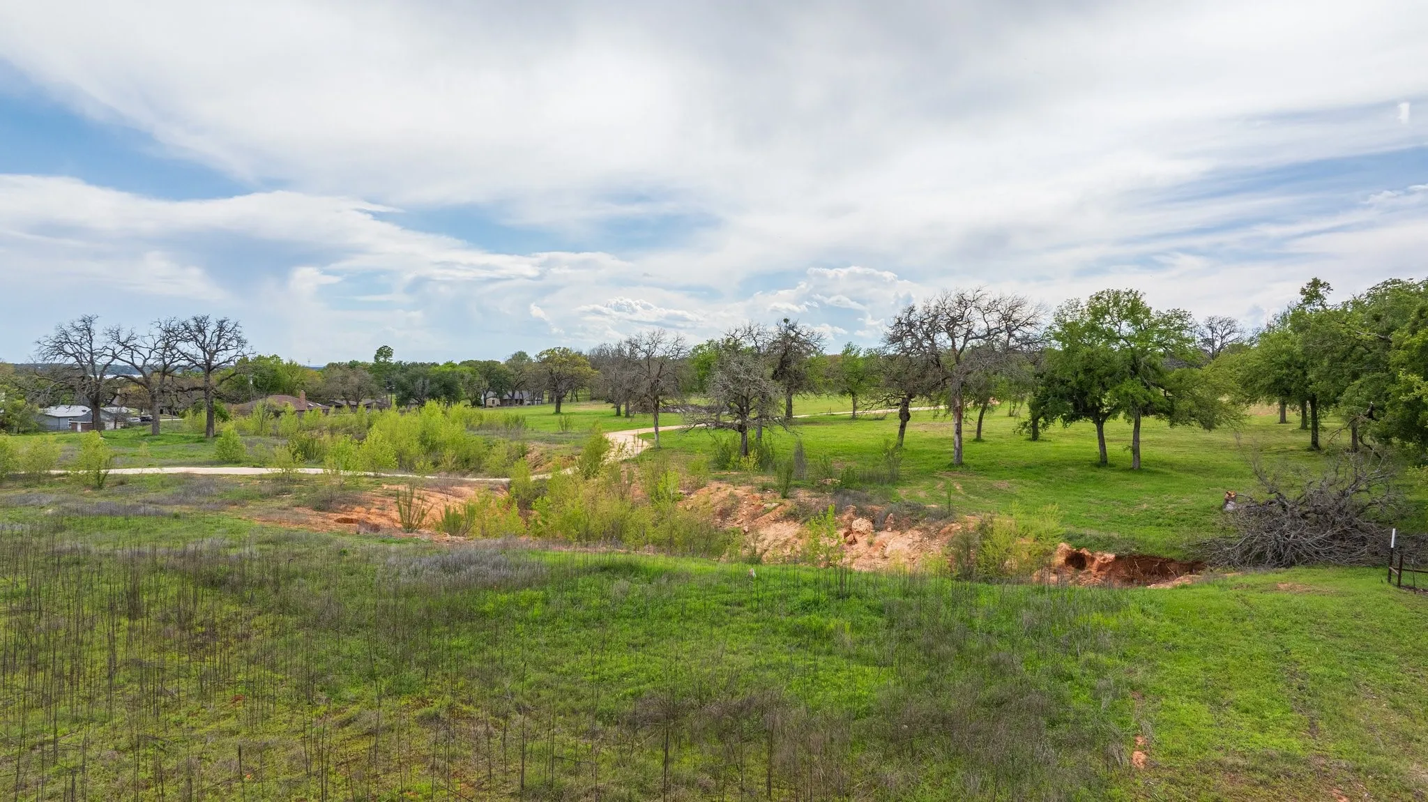 Expansive green acreage with scattered mature trees and varied foliage