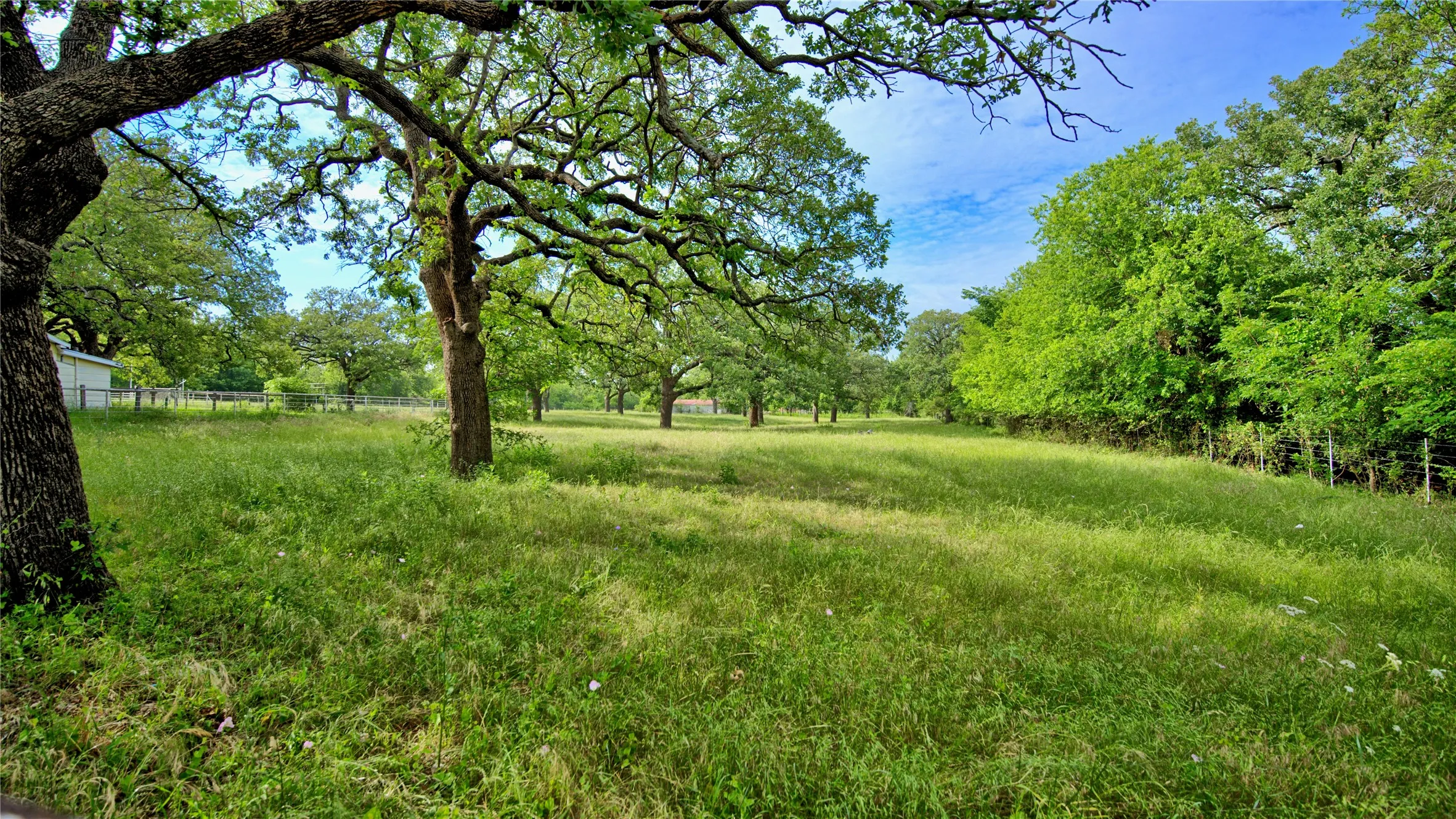 Single Family Residence For Sale in Montague County , 201 Croxton Street, Nocona, Texas 76255, 2 Bedrooms, 1 Bathroom, Garage spaces, 938 Sqft, built in 1936, Price $300,000, mls#21264299, Real Estate Agent in Nocona, Homes For Sale in Montague county, Homes For Sale in Nocona, Realtor in Nocona Texas, Real Estate Brokerage Independent Realty Texas, Luminita Cordes Realtor