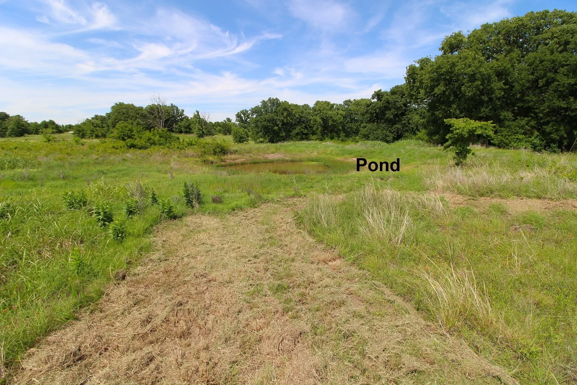 Single Family Residence For Sale in Montague County , 155 Corado Road, Montague, Texas 76251, 1 Bedroom, 1 Bathroom, 2 Garage spaces, 1,200 Sqft, built in 2023, mls#21264328, Real Estate Agent in Montague, Homes For Sale in Montague county, Homes For Sale in Montague, Realtor in Montague Texas, Real Estate Brokerage Independent Realty Texas, Luminita Cordes Realtor