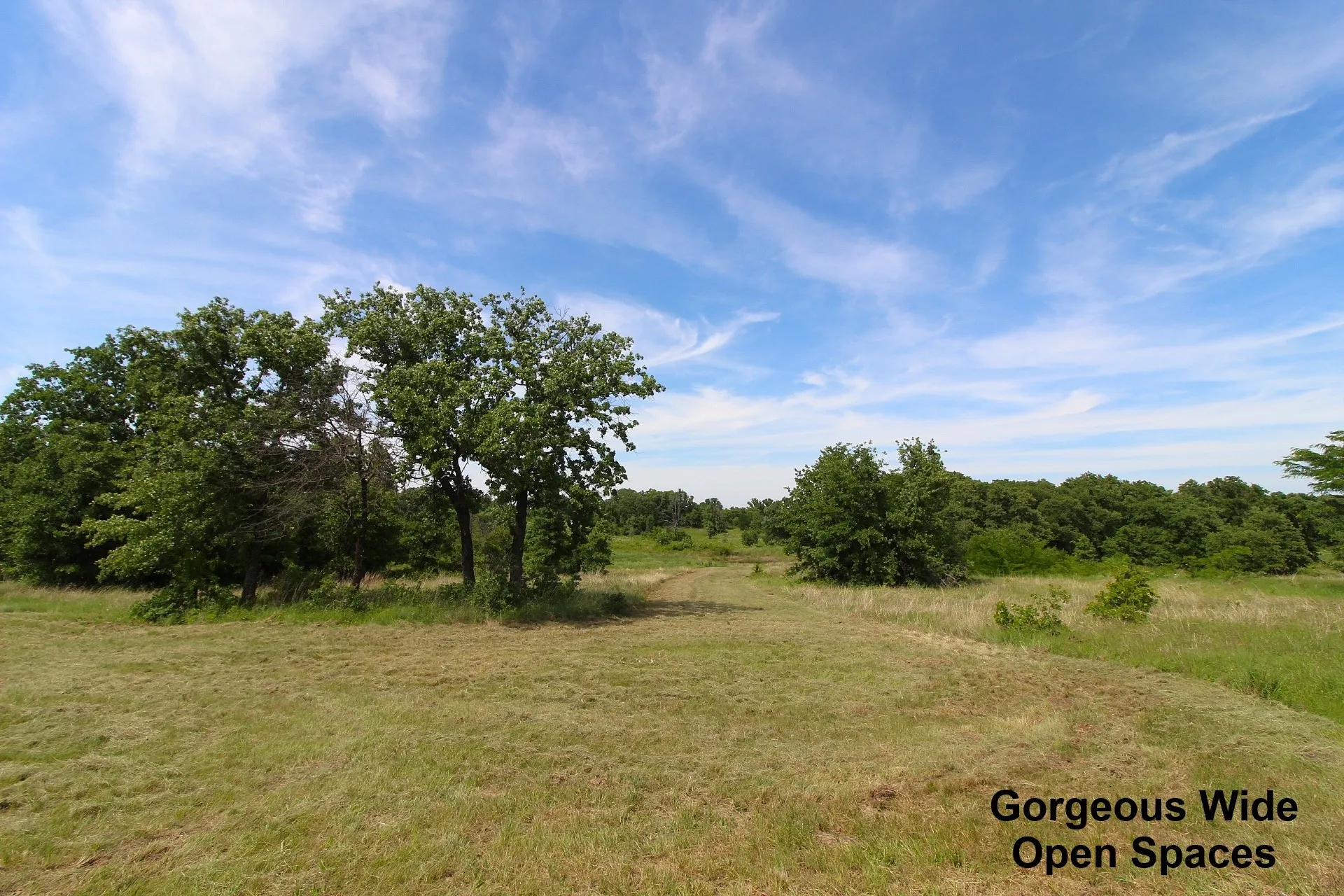 Single Family Residence For Sale in Montague County , 155 Corado Road, Montague, Texas 76251, 1 Bedroom, 1 Bathroom, 2 Garage spaces, 1,200 Sqft, built in 2023, mls#21264328, Real Estate Agent in Montague, Homes For Sale in Montague county, Homes For Sale in Montague, Realtor in Montague Texas, Real Estate Brokerage Independent Realty Texas, Luminita Cordes Realtor