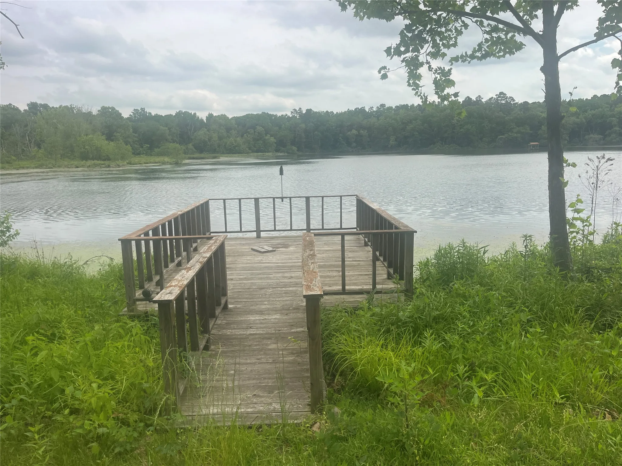 Lakeside wooden deck with railing, surrounded by natural foliage