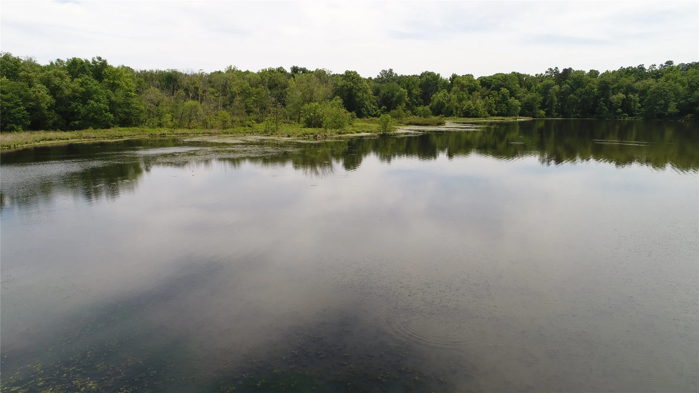 Natural body of water bordered by dense deciduous trees