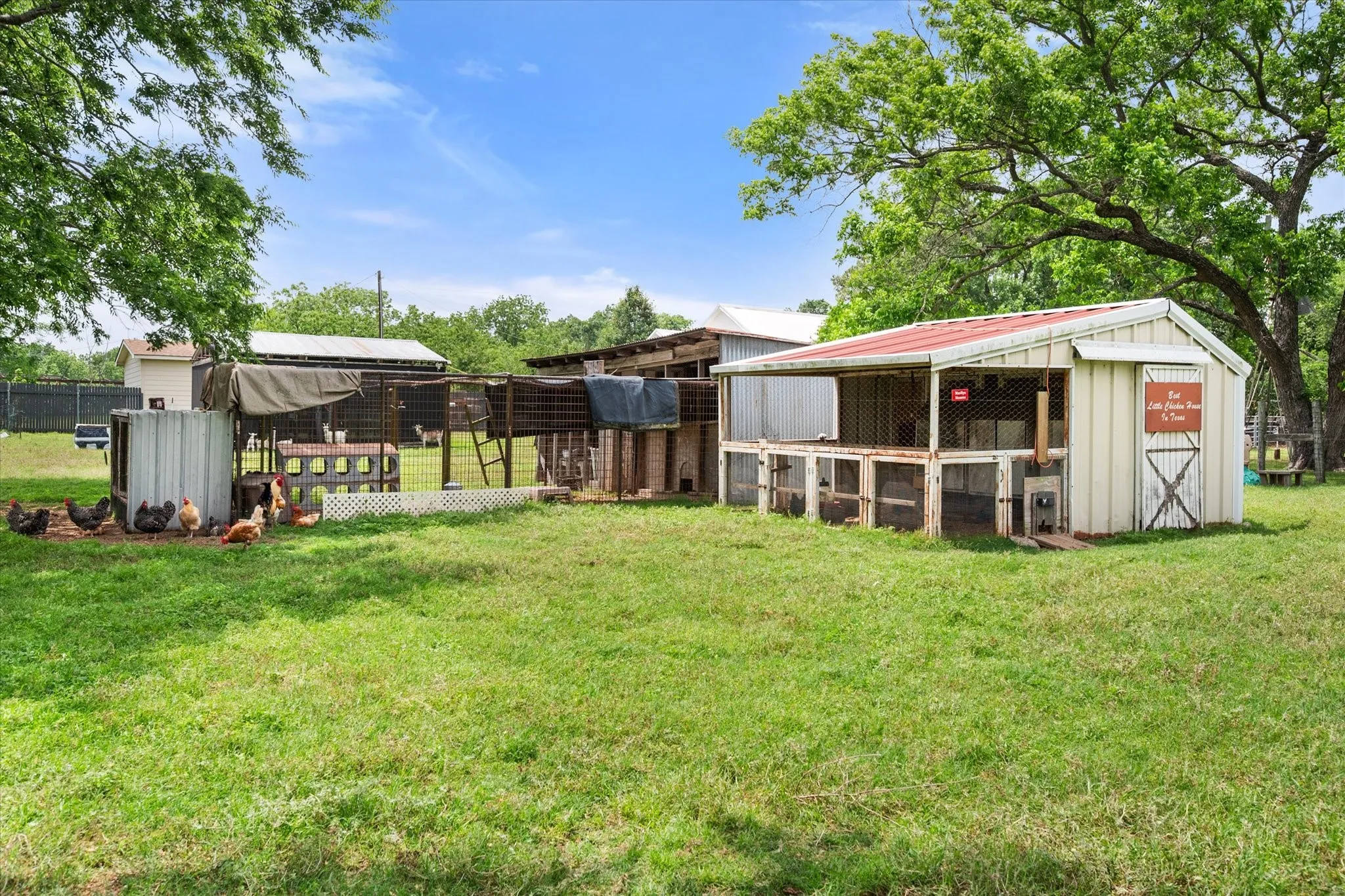Expansive grassy yard area featuring multiple outbuildings including a white-sided structure with a red roof, various animal enclosures, and mature trees providing shade