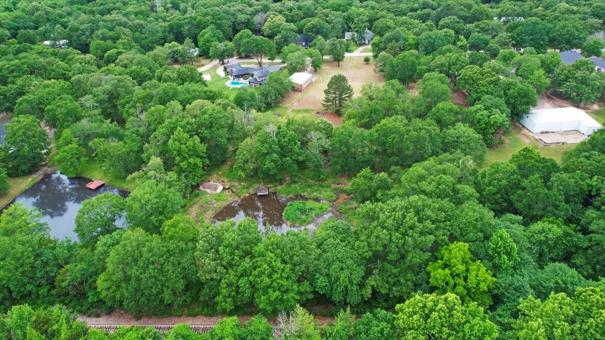 Improved Land For Sale in Lamar County , 380 Timber Lakes Drive, Powderly, Texas 75473, 0, 0, Garage spaces, 0 Sqft, built in 1993, mls#21263221, Real Estate Agent in Powderly, Homes For Sale in Lamar county, Homes For Sale in Powderly, Realtor in Powderly Texas, Real Estate Brokerage Independent Realty Texas, Luminita Cordes Realtor