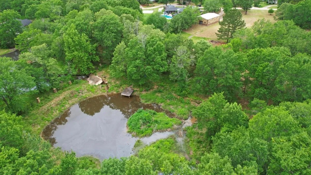 Improved Land For Sale in Lamar County , 380 Timber Lakes Drive, Powderly, Texas 75473, 0, 0, Garage spaces, 0 Sqft, built in 1993, mls#21263221, Real Estate Agent in Powderly, Homes For Sale in Lamar county, Homes For Sale in Powderly, Realtor in Powderly Texas, Real Estate Brokerage Independent Realty Texas, Luminita Cordes Realtor