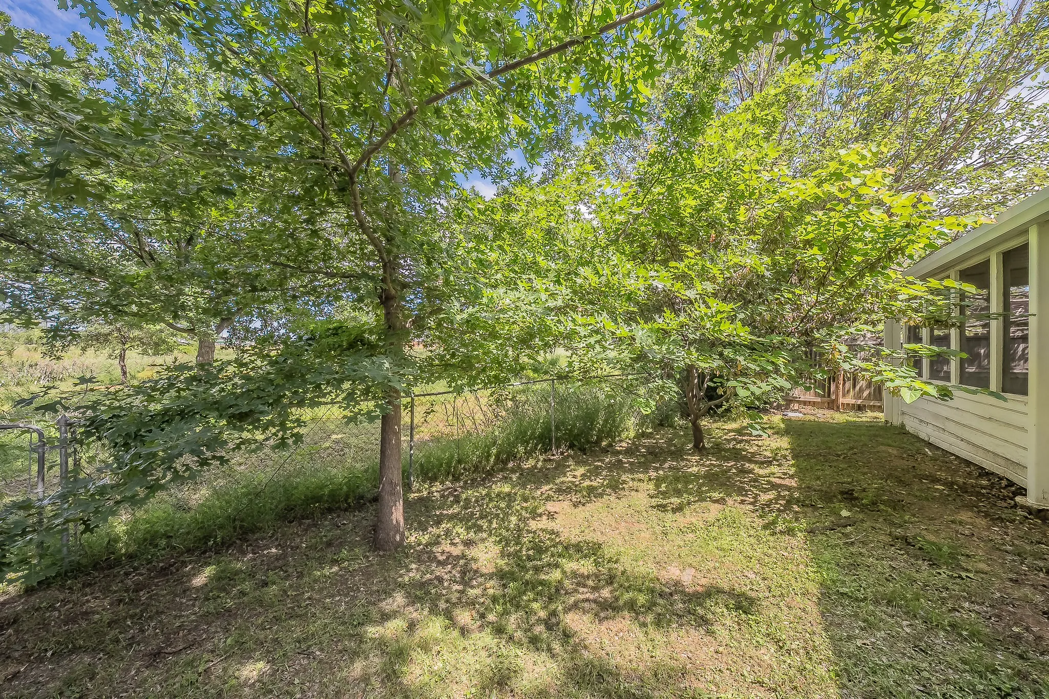 Expansive grassy outdoor area featuring mature trees and a white-sided structure with multiple windows