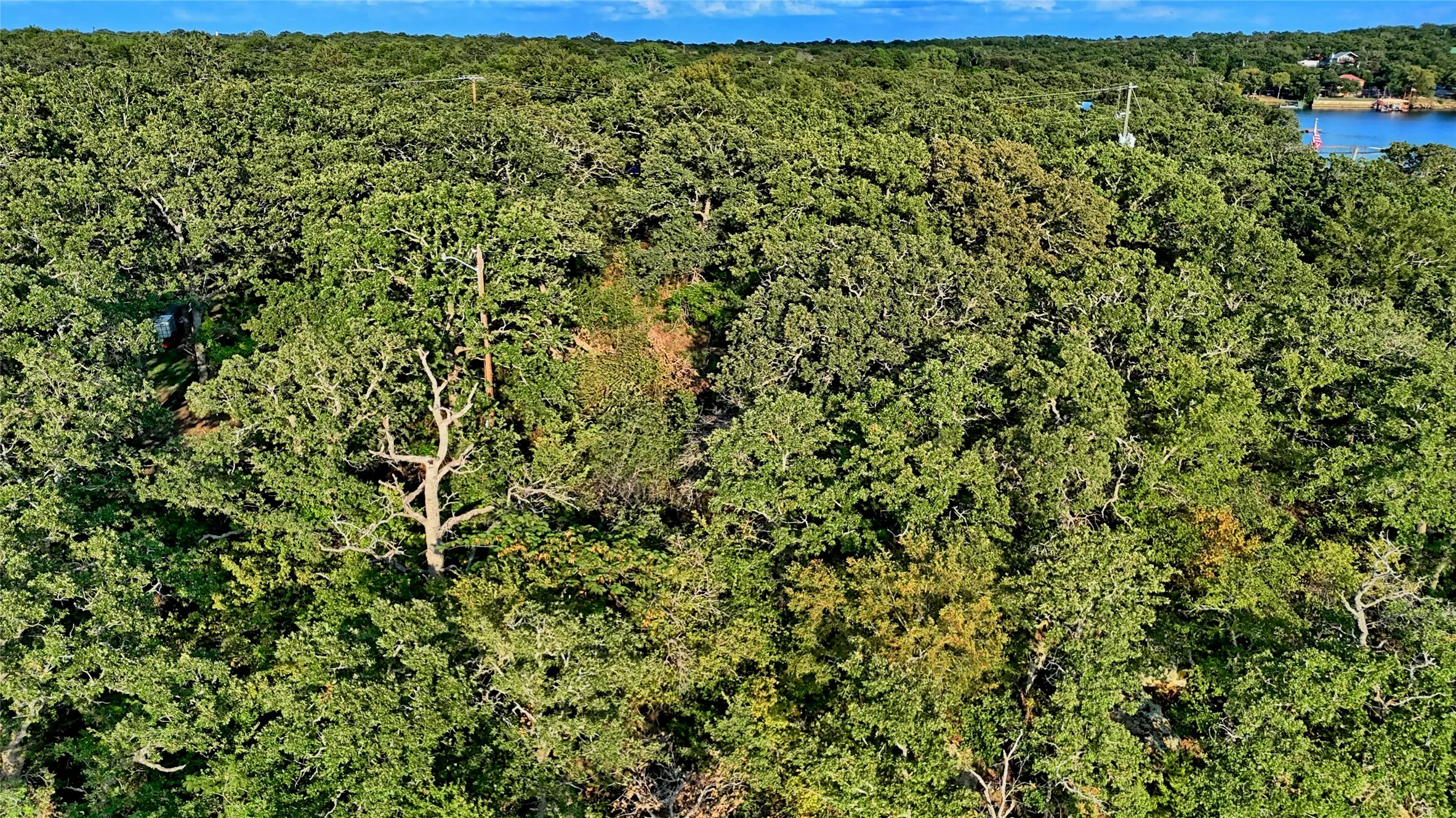 Unimproved Land For Sale in Montague County , TBD Haigood, Bowie, Texas 76230, 0, 0, Garage spaces, 0 Sqft, built in 0, Price $500,000, mls#21264389, Real Estate Agent in Bowie, Homes For Sale in Montague county, Homes For Sale in Bowie, Realtor in Bowie Texas, Real Estate Brokerage Independent Realty Texas, Luminita Cordes Realtor
