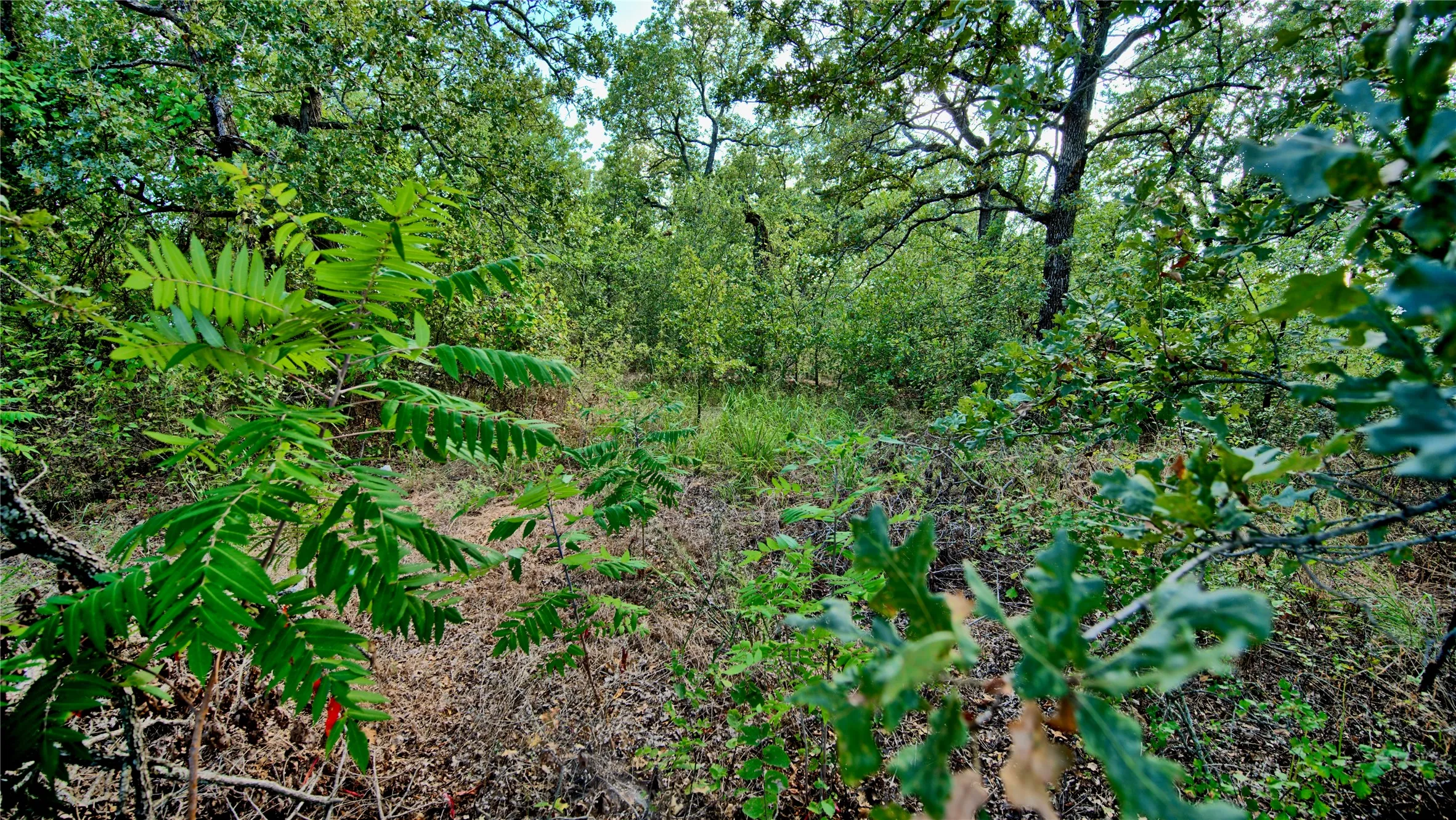 Unimproved Land For Sale in Montague County , TBD Haigood, Bowie, Texas 76230, 0, 0, Garage spaces, 0 Sqft, built in 0, Price $500,000, mls#21264389, Real Estate Agent in Bowie, Homes For Sale in Montague county, Homes For Sale in Bowie, Realtor in Bowie Texas, Real Estate Brokerage Independent Realty Texas, Luminita Cordes Realtor