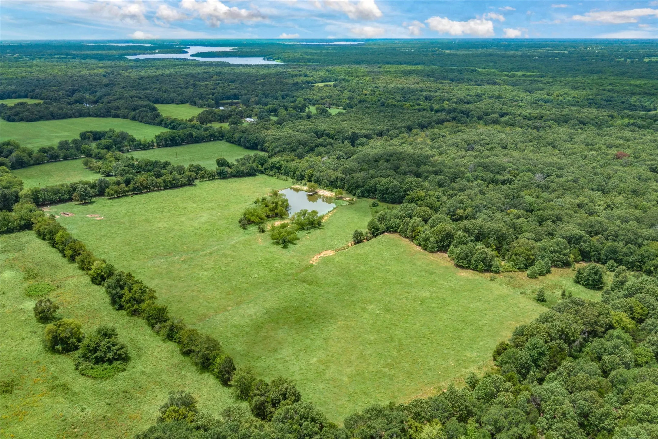 Unimproved Land For Sale in Hopkins County , TBD FM 1197, Yantis, Texas 75497, 0, 0, Garage spaces, 0 Sqft, built in 0, Price $5,700,000, mls#21264427, Real Estate Agent in Yantis, Homes For Sale in Hopkins county, Homes For Sale in Yantis, Realtor in Yantis Texas, Real Estate Brokerage Independent Realty Texas, Luminita Cordes Realtor