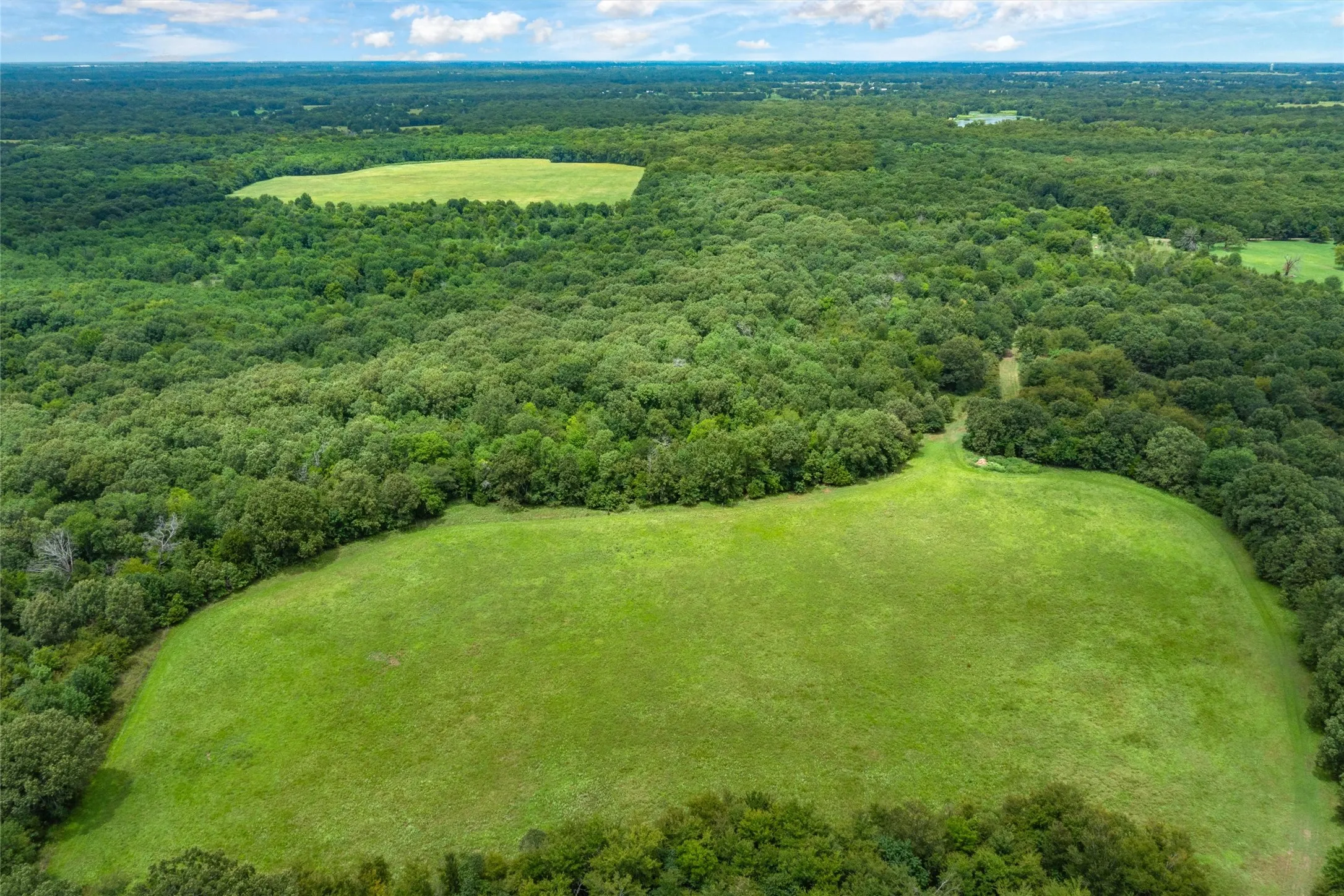 Unimproved Land For Sale in Hopkins County , TBD FM 1197, Yantis, Texas 75497, 0, 0, Garage spaces, 0 Sqft, built in 0, Price $5,700,000, mls#21264427, Real Estate Agent in Yantis, Homes For Sale in Hopkins county, Homes For Sale in Yantis, Realtor in Yantis Texas, Real Estate Brokerage Independent Realty Texas, Luminita Cordes Realtor