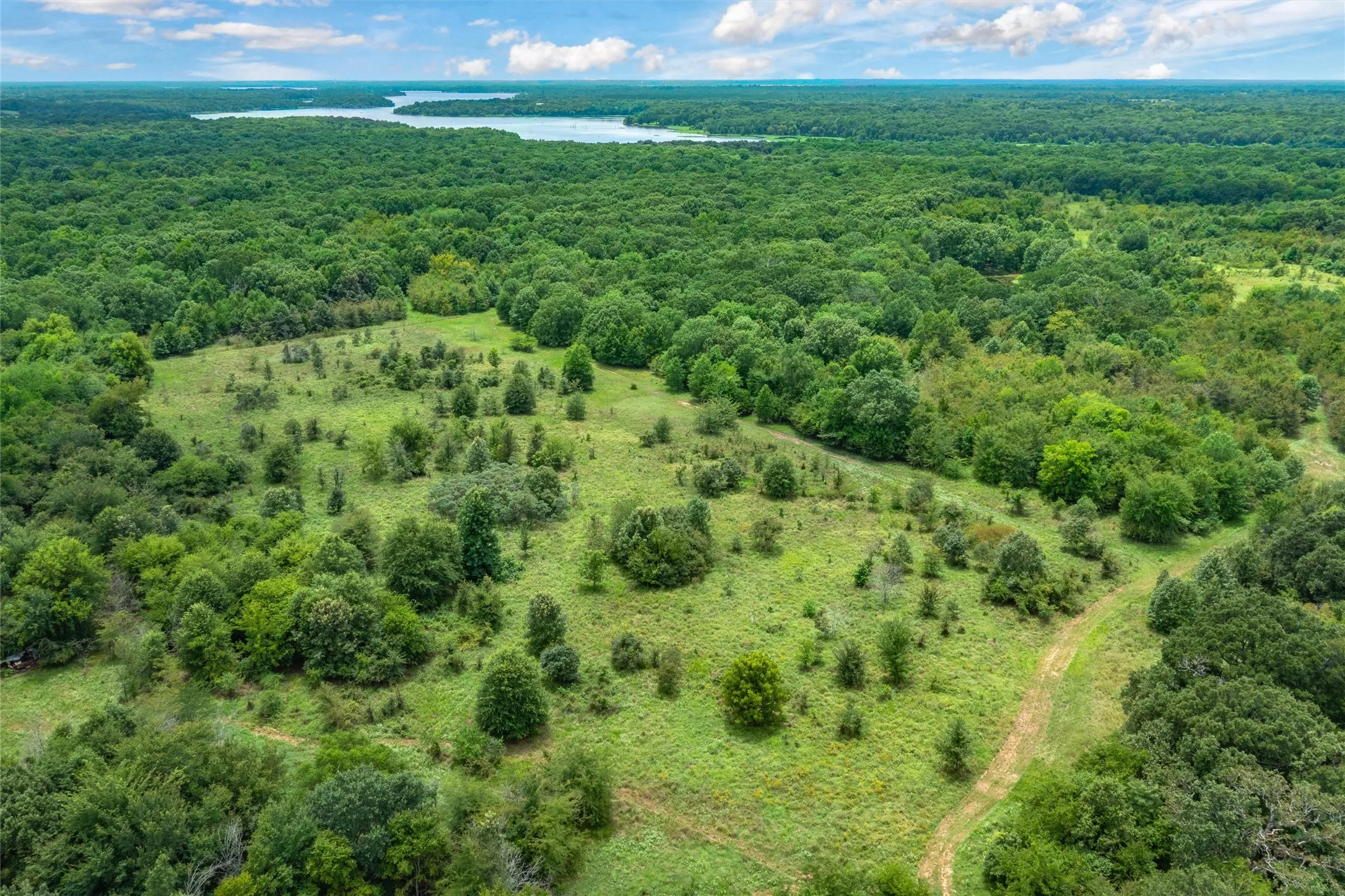 Unimproved Land For Sale in Hopkins County , TBD FM 1197, Yantis, Texas 75497, 0, 0, Garage spaces, 0 Sqft, built in 0, Price $5,700,000, mls#21264427, Real Estate Agent in Yantis, Homes For Sale in Hopkins county, Homes For Sale in Yantis, Realtor in Yantis Texas, Real Estate Brokerage Independent Realty Texas, Luminita Cordes Realtor