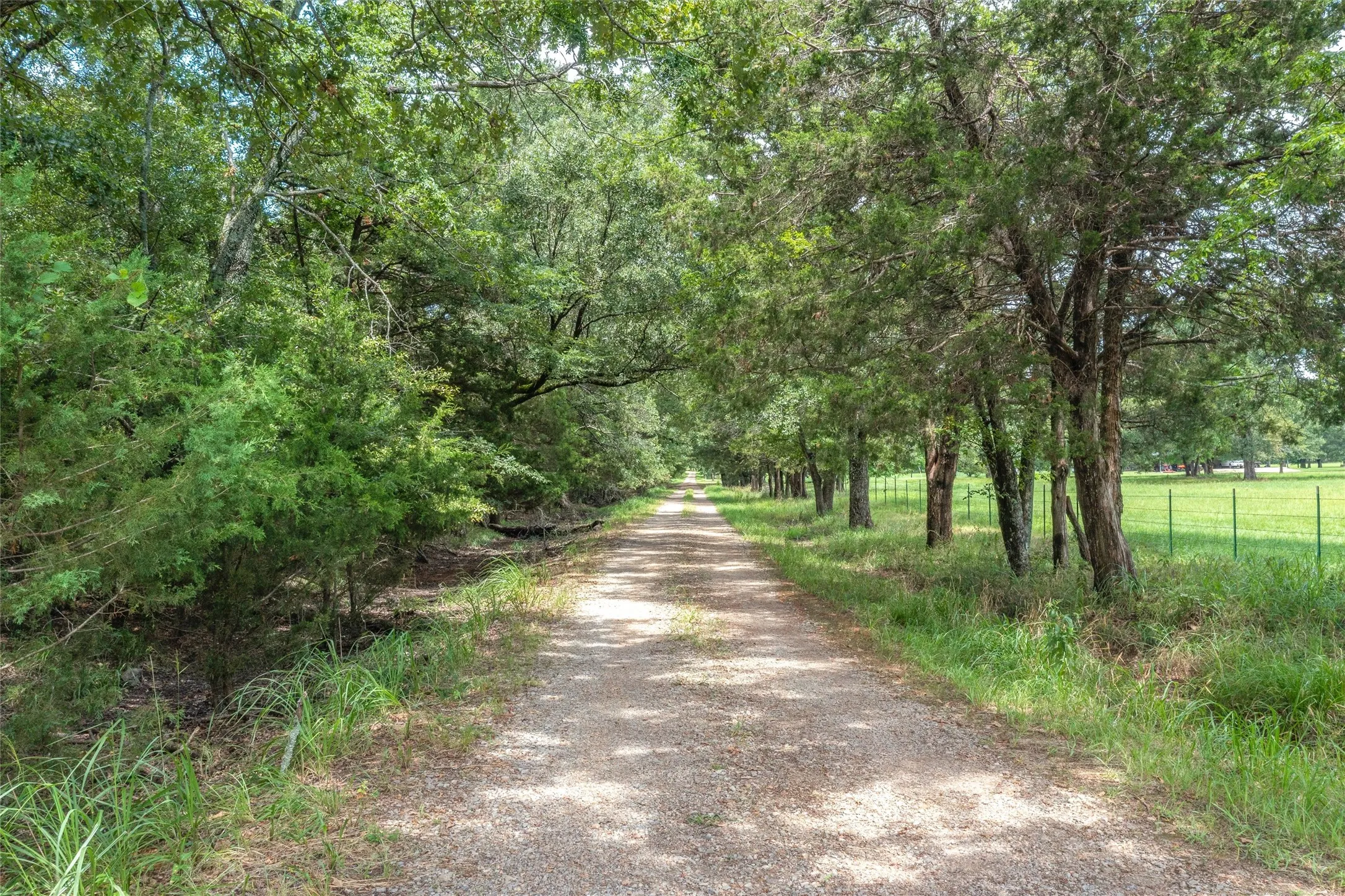 Unimproved Land For Sale in Hopkins County , TBD FM 1197, Yantis, Texas 75497, 0, 0, Garage spaces, 0 Sqft, built in 0, Price $5,700,000, mls#21264427, Real Estate Agent in Yantis, Homes For Sale in Hopkins county, Homes For Sale in Yantis, Realtor in Yantis Texas, Real Estate Brokerage Independent Realty Texas, Luminita Cordes Realtor