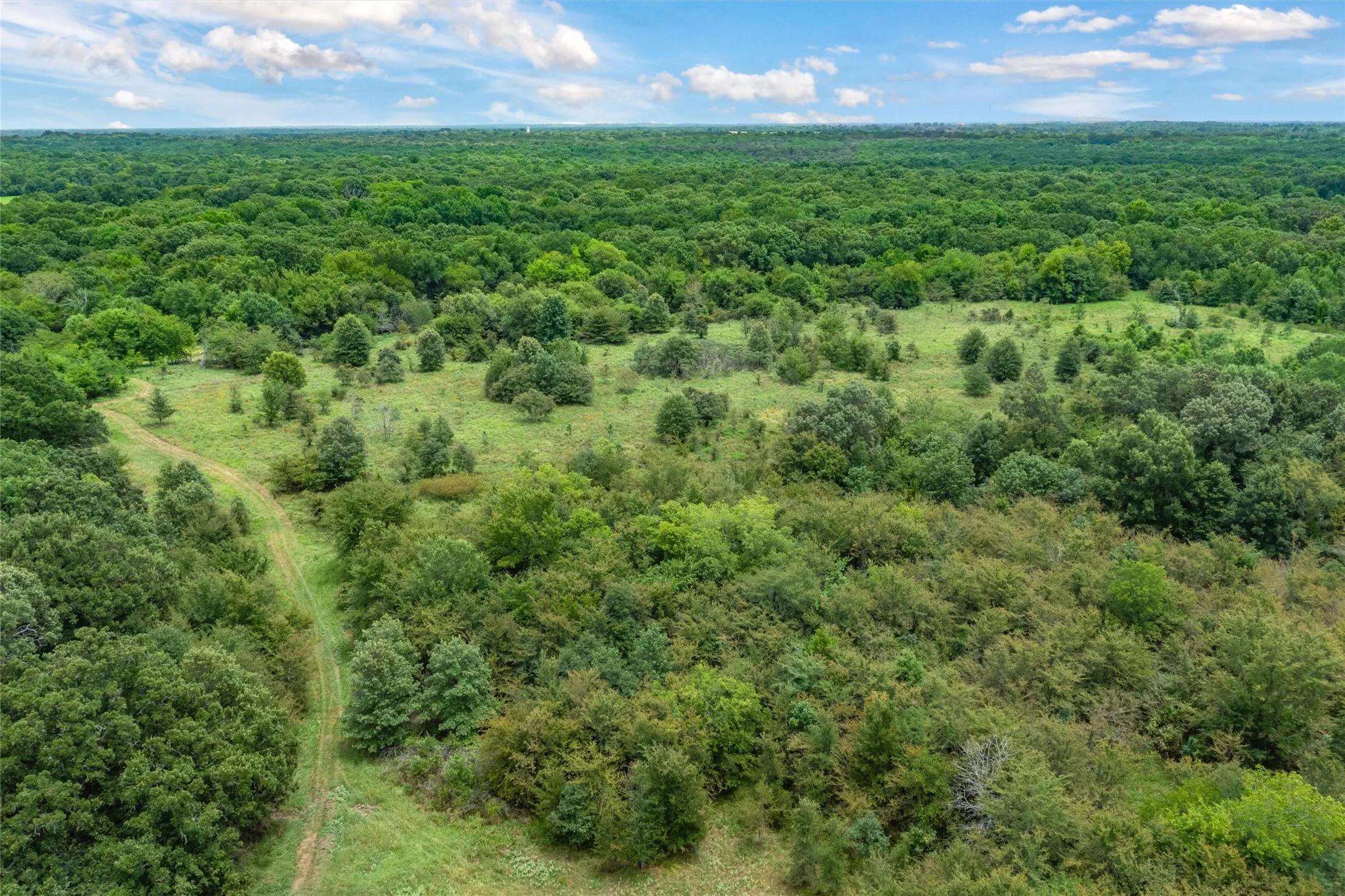 Unimproved Land For Sale in Hopkins County , TBD FM 1197, Yantis, Texas 75497, 0, 0, Garage spaces, 0 Sqft, built in 0, Price $5,700,000, mls#21264427, Real Estate Agent in Yantis, Homes For Sale in Hopkins county, Homes For Sale in Yantis, Realtor in Yantis Texas, Real Estate Brokerage Independent Realty Texas, Luminita Cordes Realtor