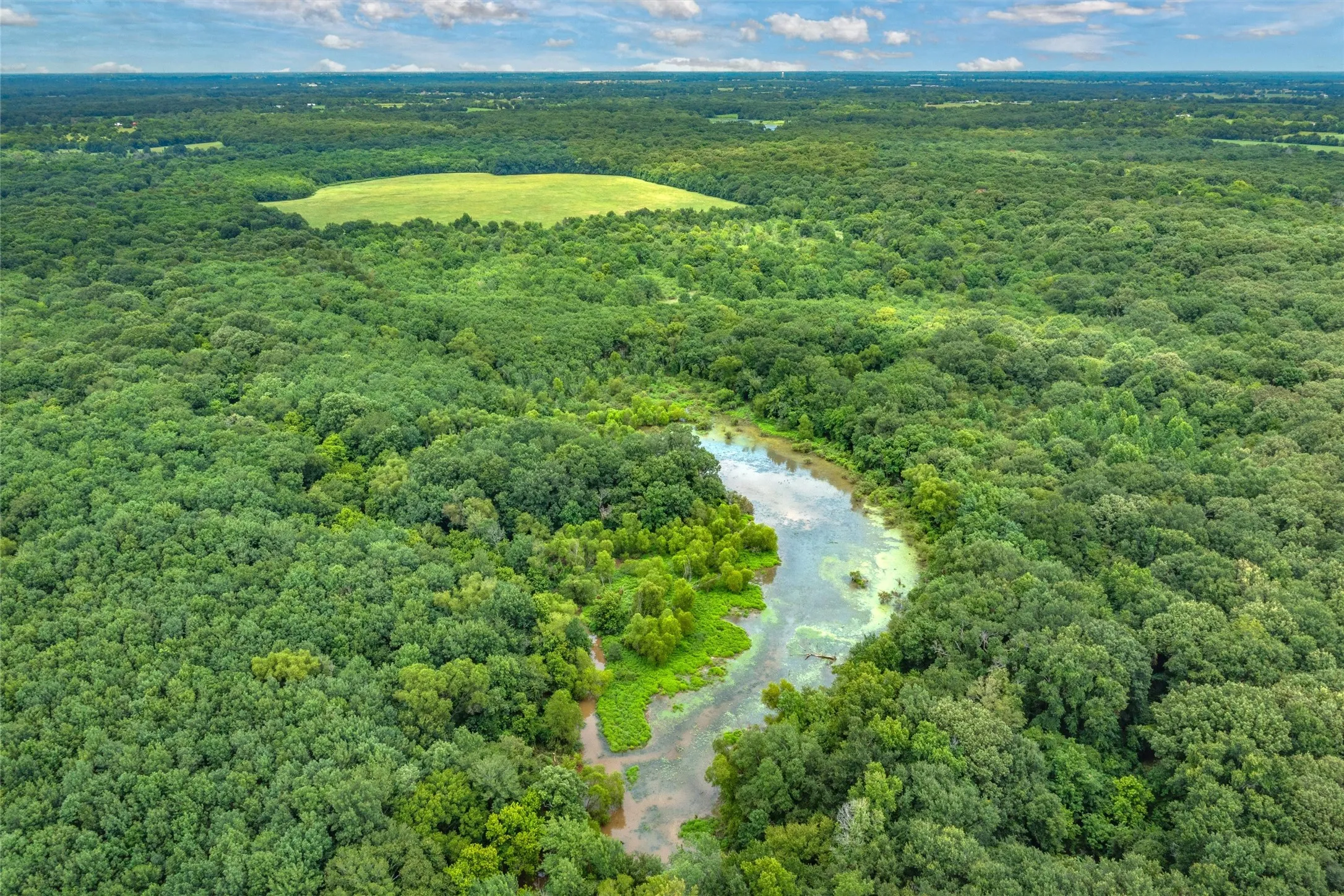 Unimproved Land For Sale in Hopkins County , TBD FM 1197, Yantis, Texas 75497, 0, 0, Garage spaces, 0 Sqft, built in 0, Price $5,700,000, mls#21264427, Real Estate Agent in Yantis, Homes For Sale in Hopkins county, Homes For Sale in Yantis, Realtor in Yantis Texas, Real Estate Brokerage Independent Realty Texas, Luminita Cordes Realtor