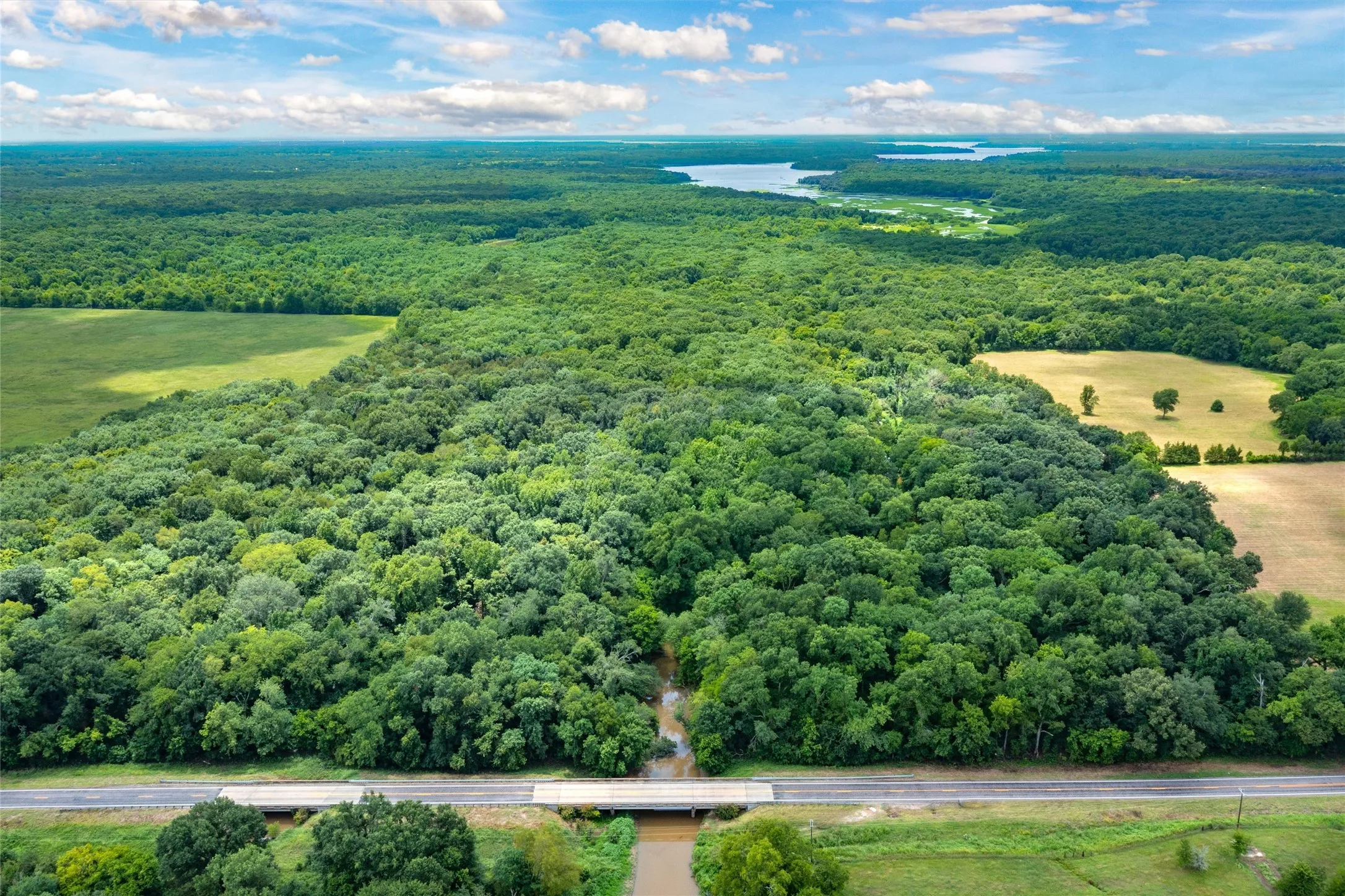 Unimproved Land For Sale in Hopkins County , TBD FM 1197, Yantis, Texas 75497, 0, 0, Garage spaces, 0 Sqft, built in 0, Price $5,700,000, mls#21264427, Real Estate Agent in Yantis, Homes For Sale in Hopkins county, Homes For Sale in Yantis, Realtor in Yantis Texas, Real Estate Brokerage Independent Realty Texas, Luminita Cordes Realtor