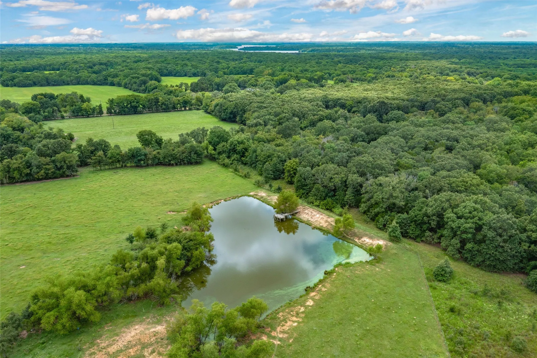 Unimproved Land For Sale in Hopkins County , TBD FM 1197, Yantis, Texas 75497, 0, 0, Garage spaces, 0 Sqft, built in 0, Price $5,700,000, mls#21264427, Real Estate Agent in Yantis, Homes For Sale in Hopkins county, Homes For Sale in Yantis, Realtor in Yantis Texas, Real Estate Brokerage Independent Realty Texas, Luminita Cordes Realtor