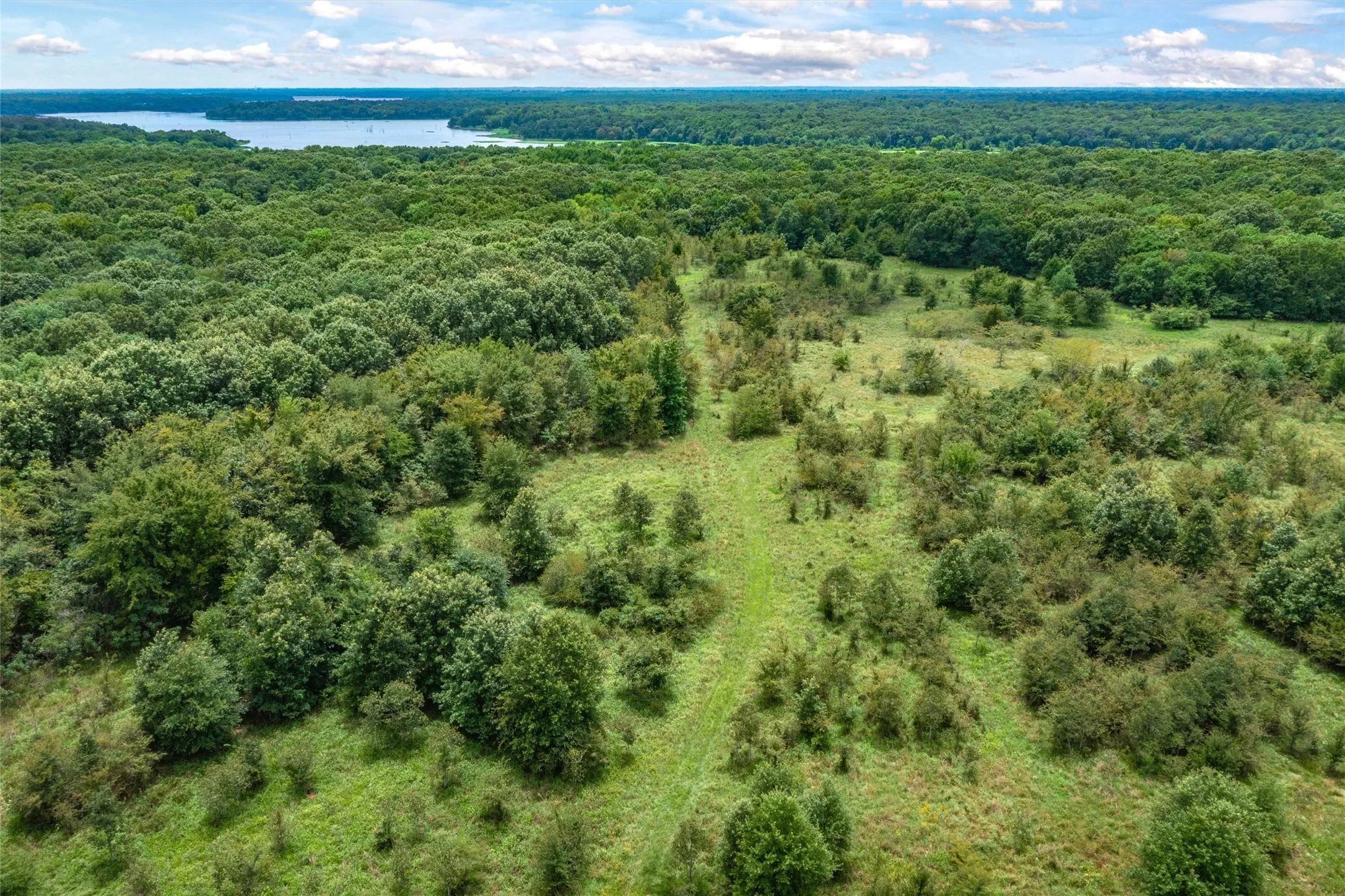 Unimproved Land For Sale in Hopkins County , TBD FM 1197, Yantis, Texas 75497, 0, 0, Garage spaces, 0 Sqft, built in 0, Price $5,700,000, mls#21264427, Real Estate Agent in Yantis, Homes For Sale in Hopkins county, Homes For Sale in Yantis, Realtor in Yantis Texas, Real Estate Brokerage Independent Realty Texas, Luminita Cordes Realtor