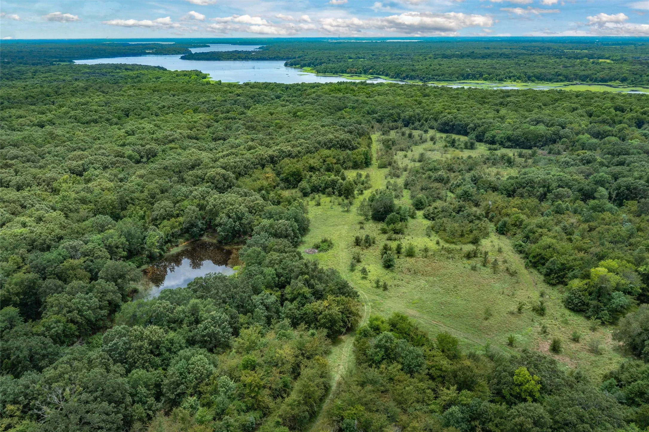 Unimproved Land For Sale in Hopkins County , TBD FM 1197, Yantis, Texas 75497, 0, 0, Garage spaces, 0 Sqft, built in 0, Price $5,700,000, mls#21264427, Real Estate Agent in Yantis, Homes For Sale in Hopkins county, Homes For Sale in Yantis, Realtor in Yantis Texas, Real Estate Brokerage Independent Realty Texas, Luminita Cordes Realtor