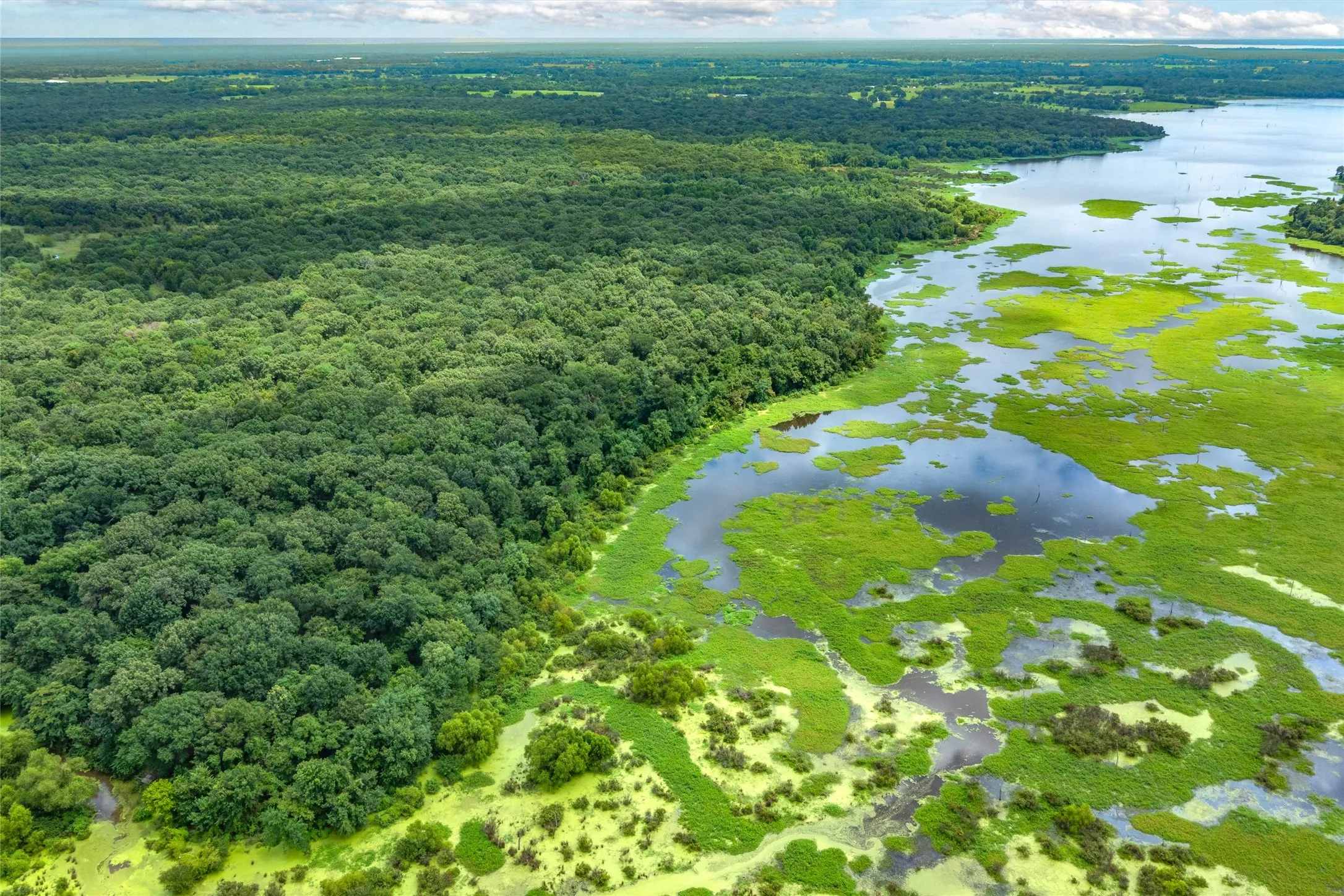 Unimproved Land For Sale in Hopkins County , TBD FM 1197, Yantis, Texas 75497, 0, 0, Garage spaces, 0 Sqft, built in 0, Price $5,700,000, mls#21264427, Real Estate Agent in Yantis, Homes For Sale in Hopkins county, Homes For Sale in Yantis, Realtor in Yantis Texas, Real Estate Brokerage Independent Realty Texas, Luminita Cordes Realtor